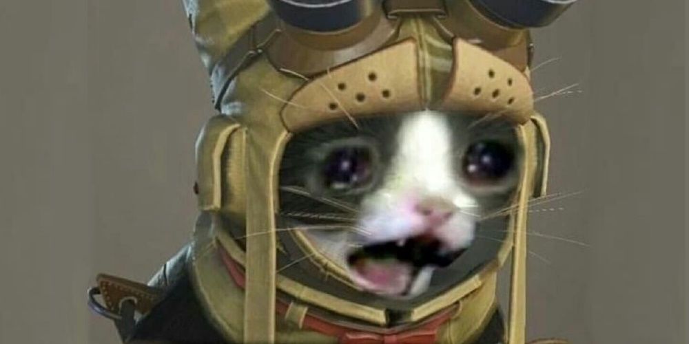 Monster Hunter, Sad Palico (taken from the meme)