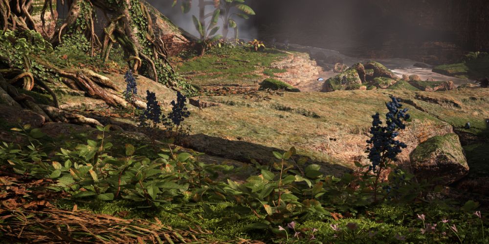 a wide shot of Medicinal Skybrush growing amongst foliage in Horizon Forbidden West