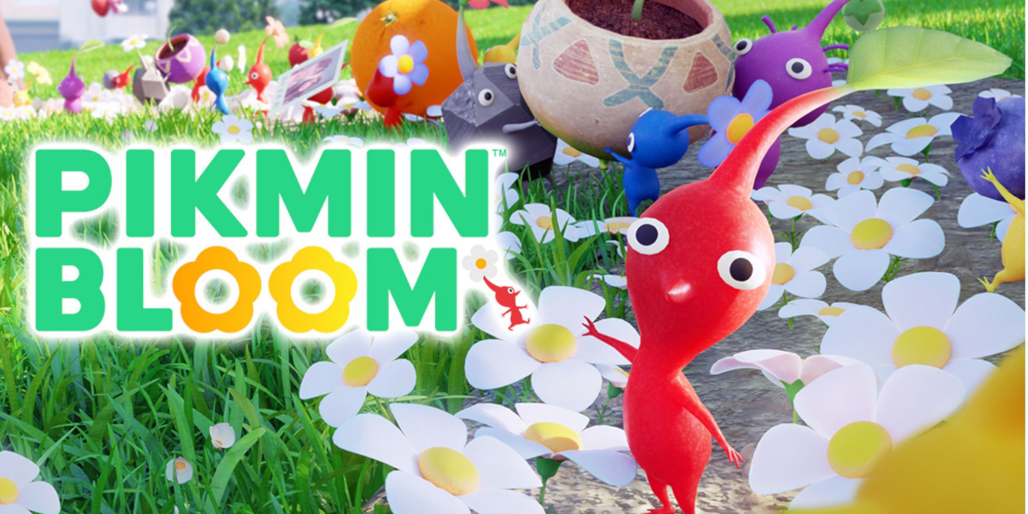 Pikmin Bloom title art featuring a yellow, red and blue pikmin