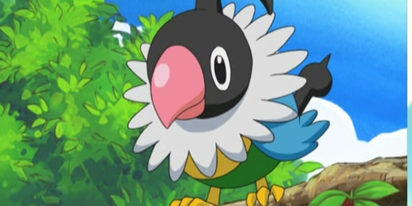 Pokemon Gen 9 Regional Forms 4 chatot