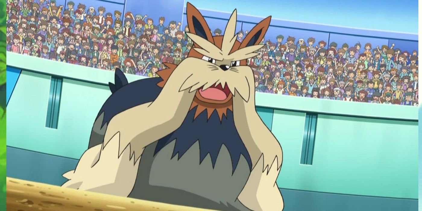 Pokemon Gen 9 Regional Forms 5 stoutland