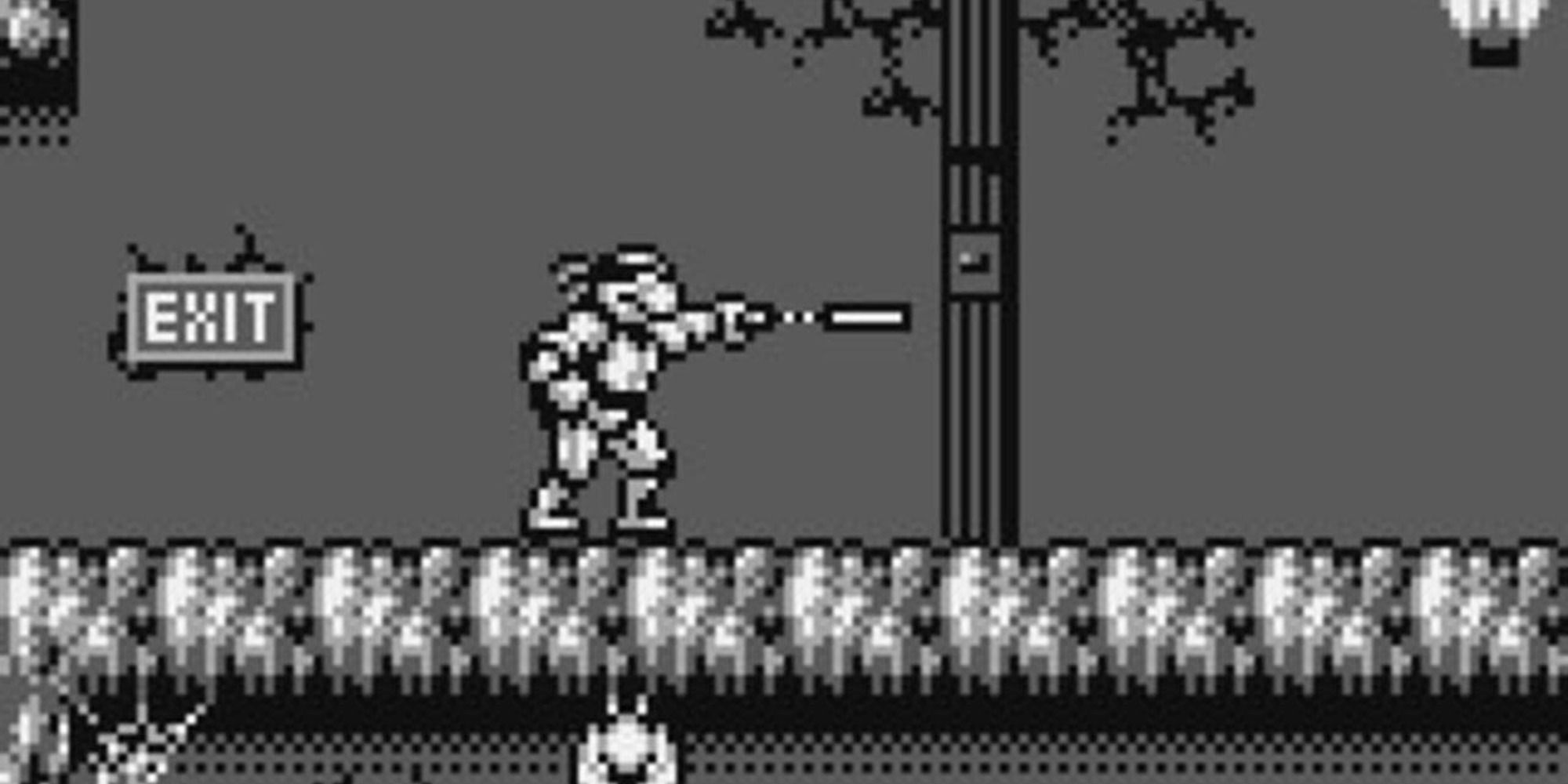 TMNT Radical Rescue with Michelangelo swinging his nunchuck 