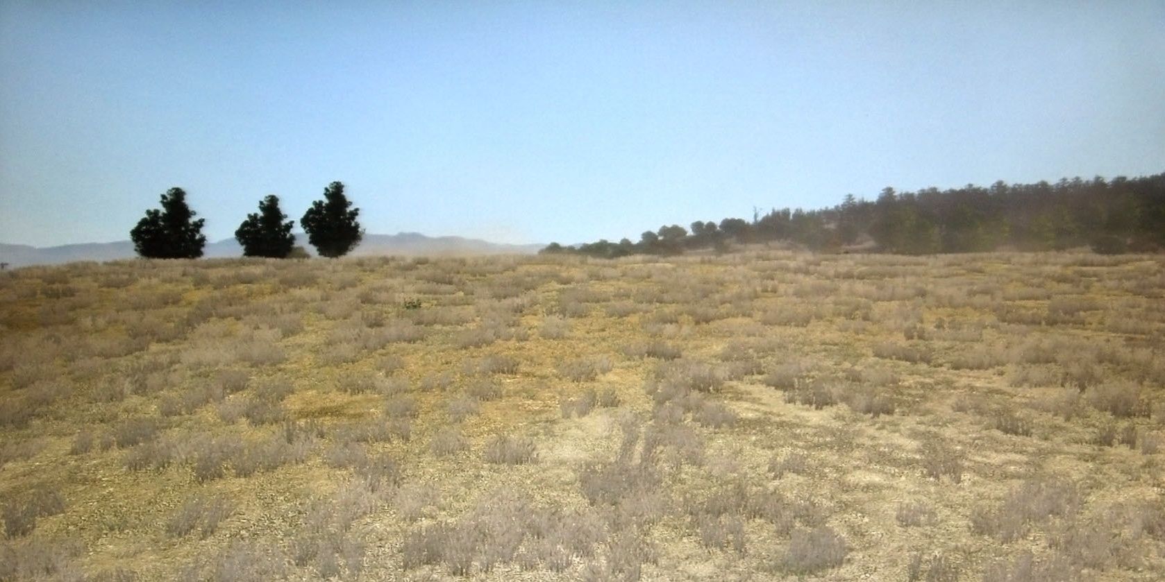 The Great Plains with some trees in the distance
