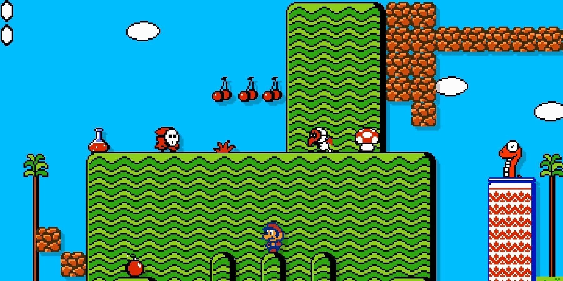 Mario standing on platform below Shy Guy, a Super Mushroom and another foe in Super Mario Bros. 2 screenshot