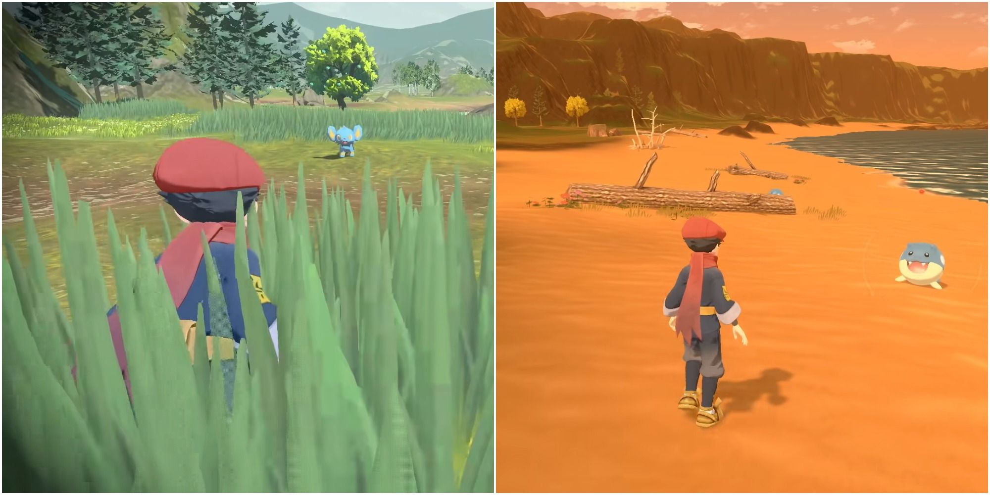 A split image of the male playable character crouching in the grass next to a Shinx and walking beside a Spheal in Pokemon Legends: Arceus.