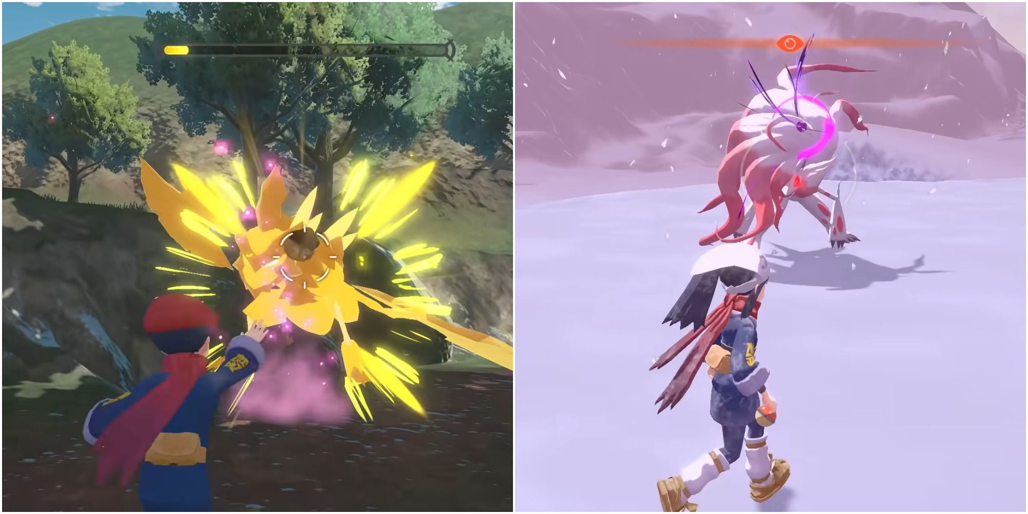 A split image of the male playable character throwing balms at the frenzied Kleavor and the female playable character approaching Alpha Hisuian Zoroark with a Poke Ball in her hand. 