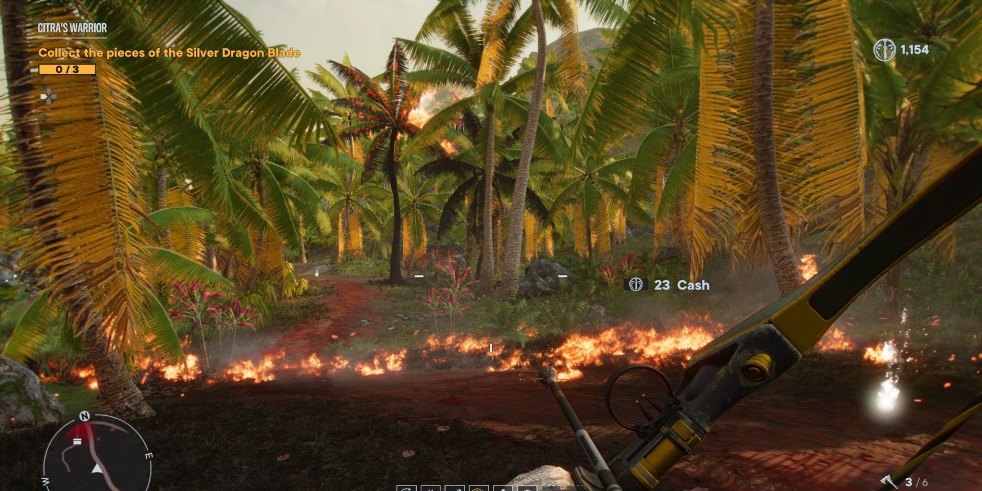 Vaas Insanity 1 Cash Money
