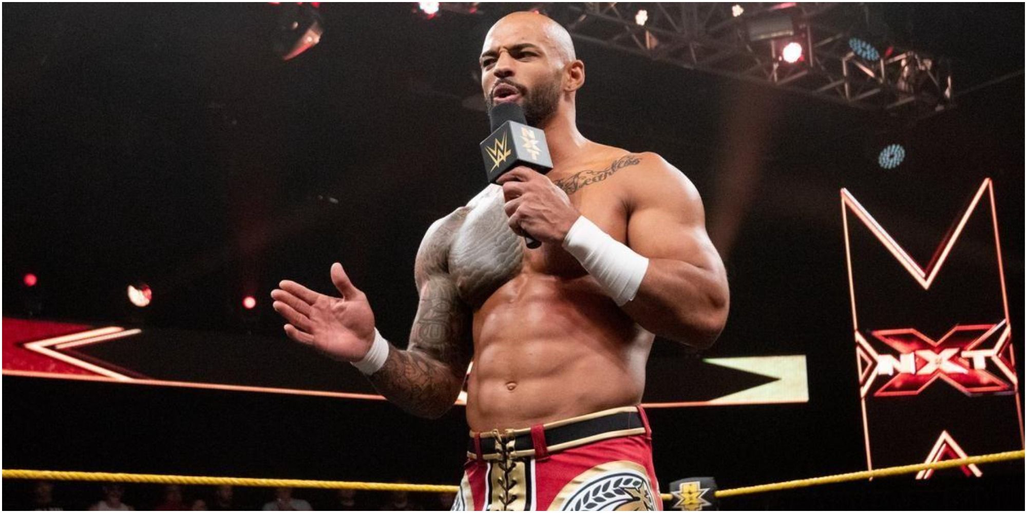 WWE Ricochet