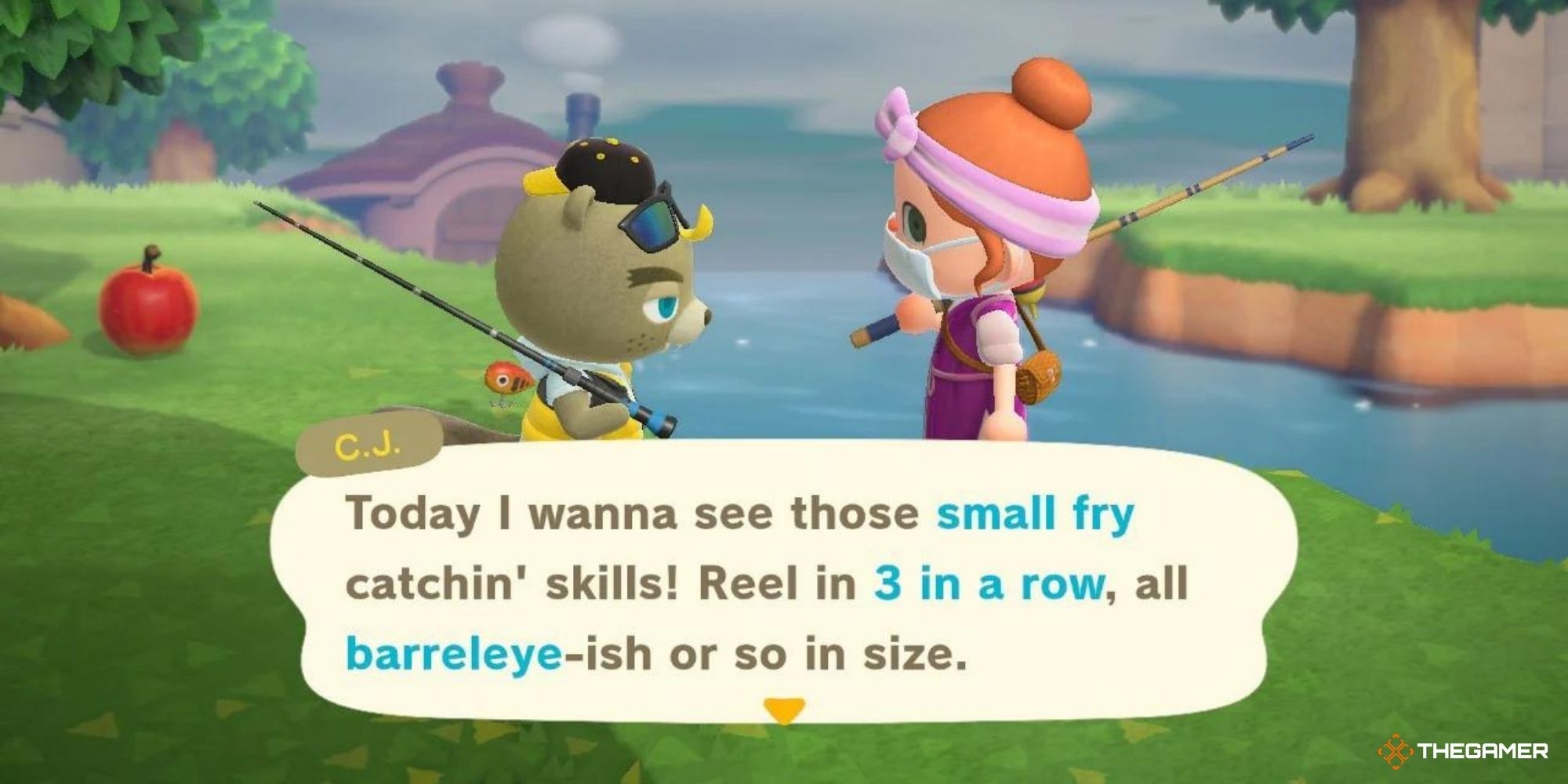 animal crossing new horizons - player with CJ