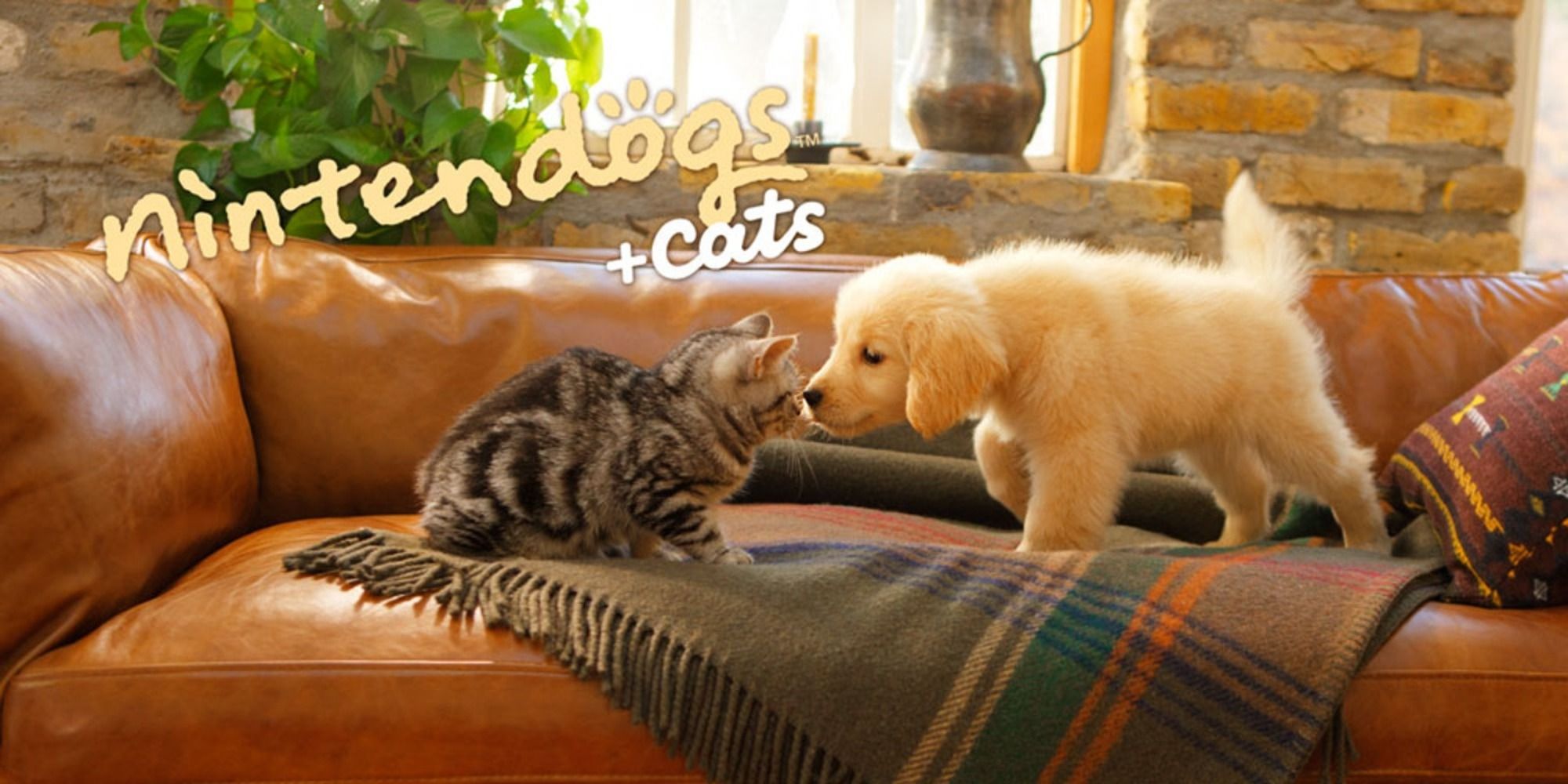 Title art for Nintendogs and Cats, puppy and kitten touching noses on couch