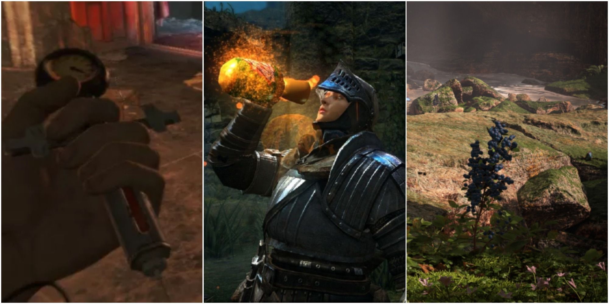 on the left is a Stimpak, in the middle is someone drinking from an estus flask and on the right is a medicinal skybrush plant