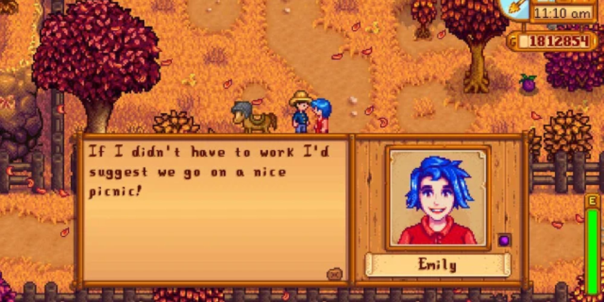 emily speaking to player about a picnic