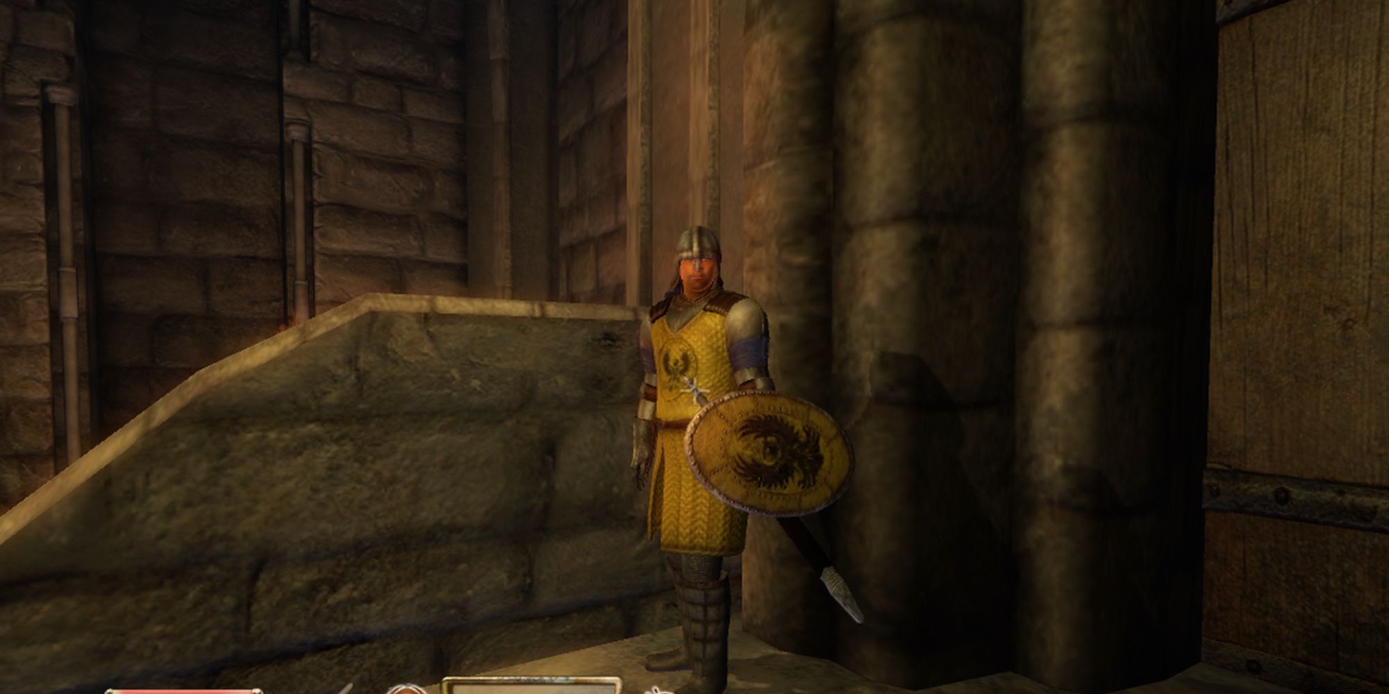 screenshot of Bruma guard in Bruma castle
