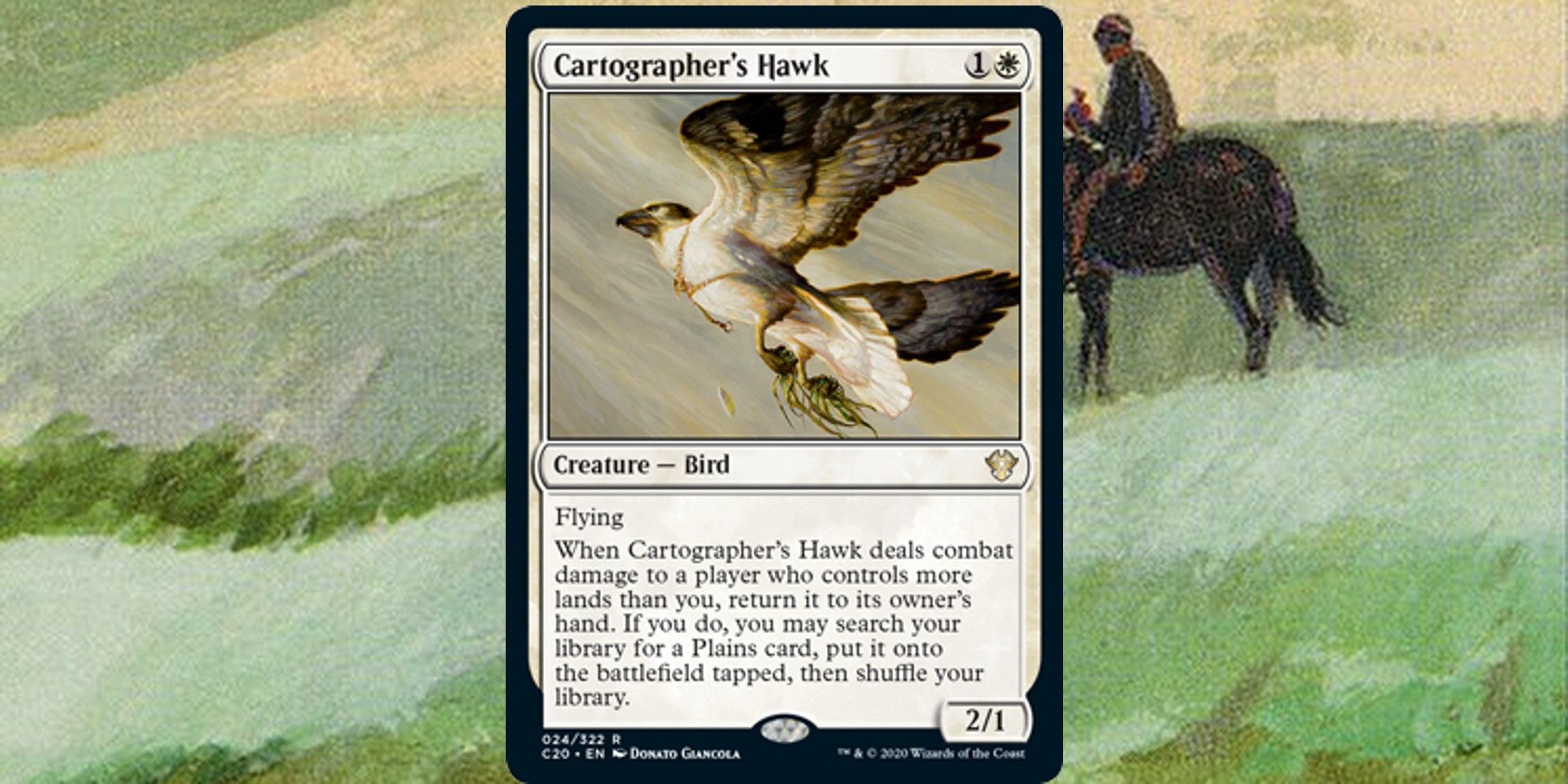 Cartographer's Hawk MTG Card