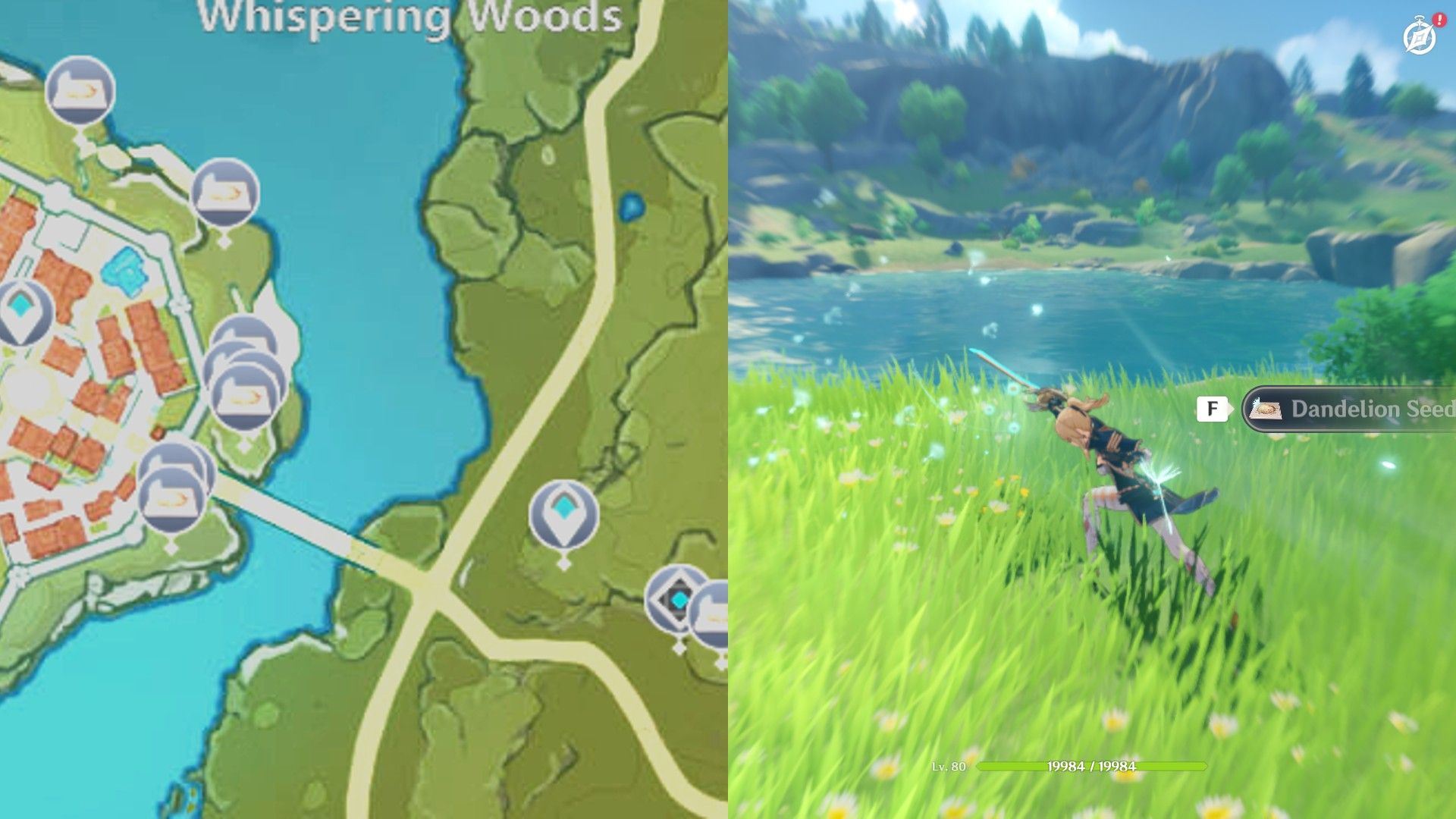 Genshin Dandelion Seed Location