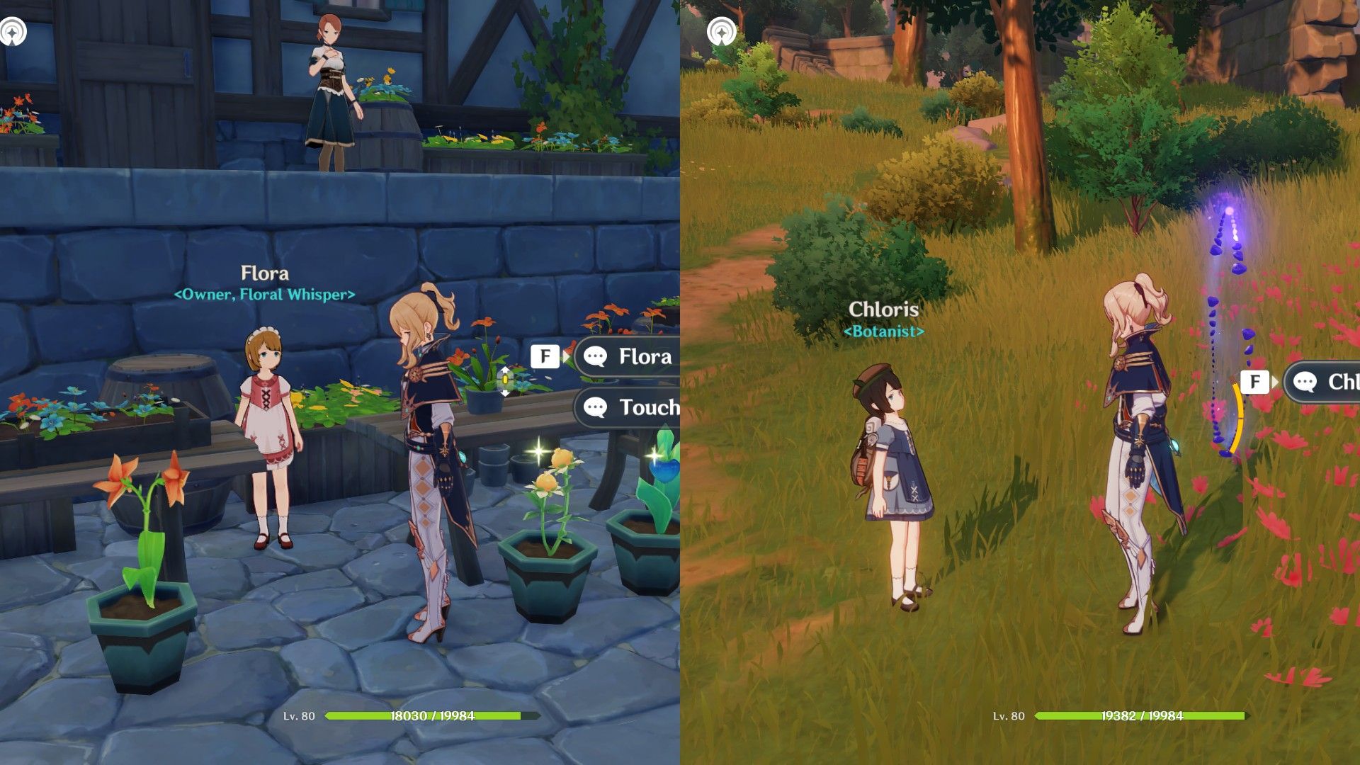 Genshin Flora Chloris Location