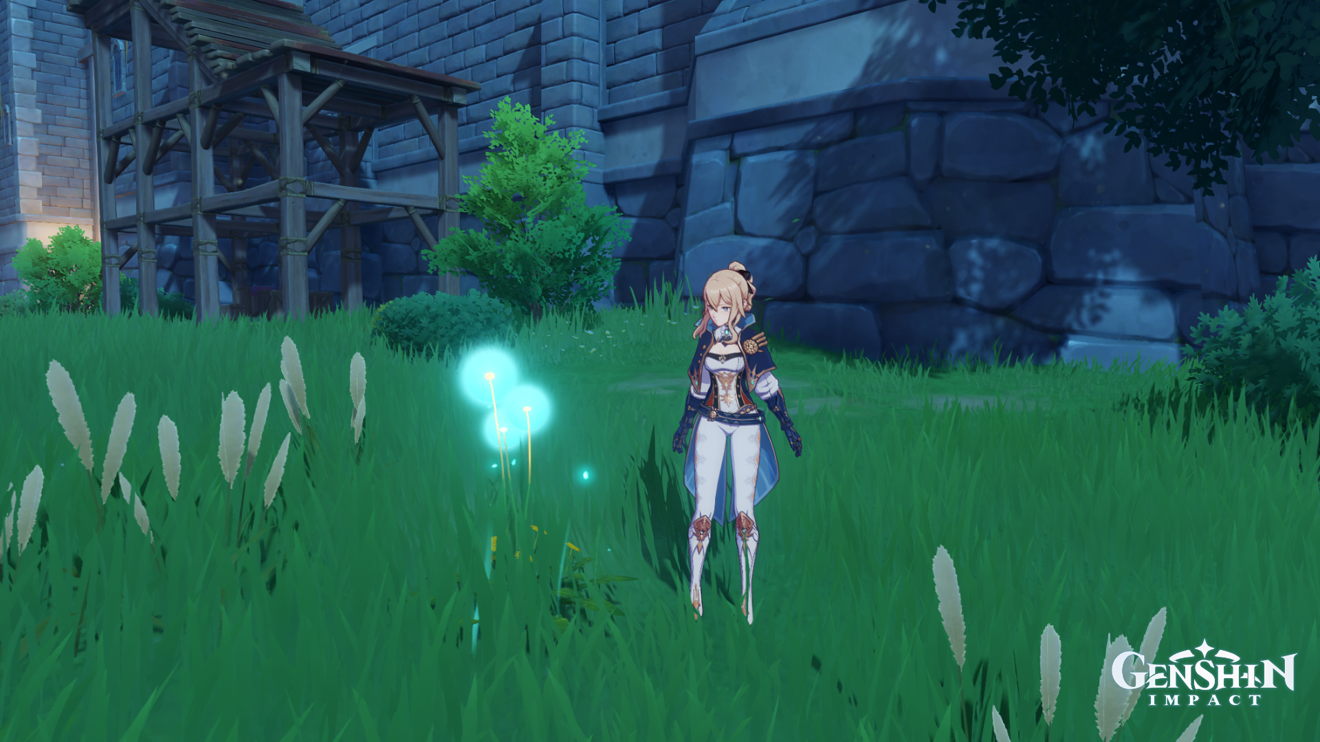 Genshin Jean Looking At Dandelion