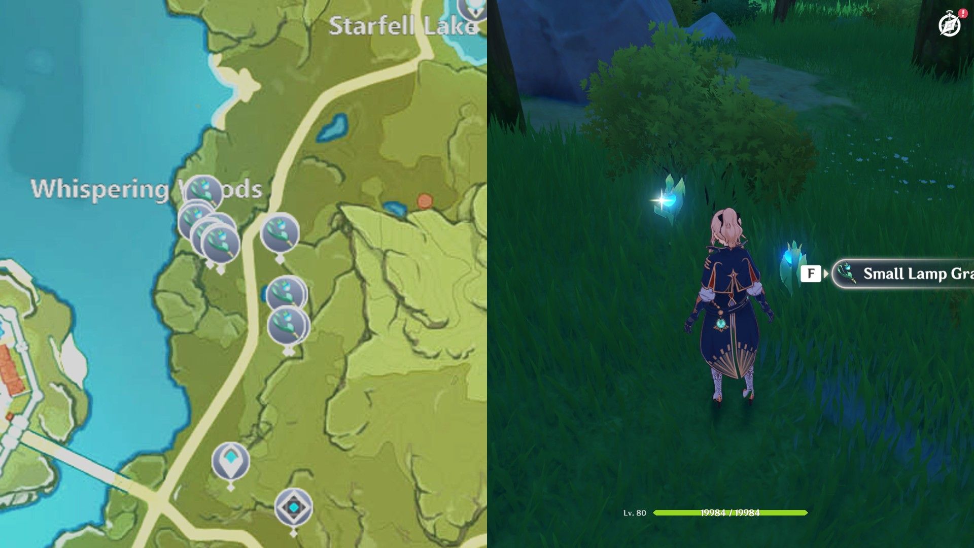 Genshin Small Lamp Grass Location