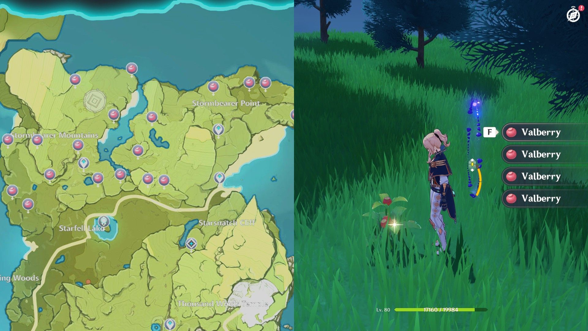 Genshin Valberry Location