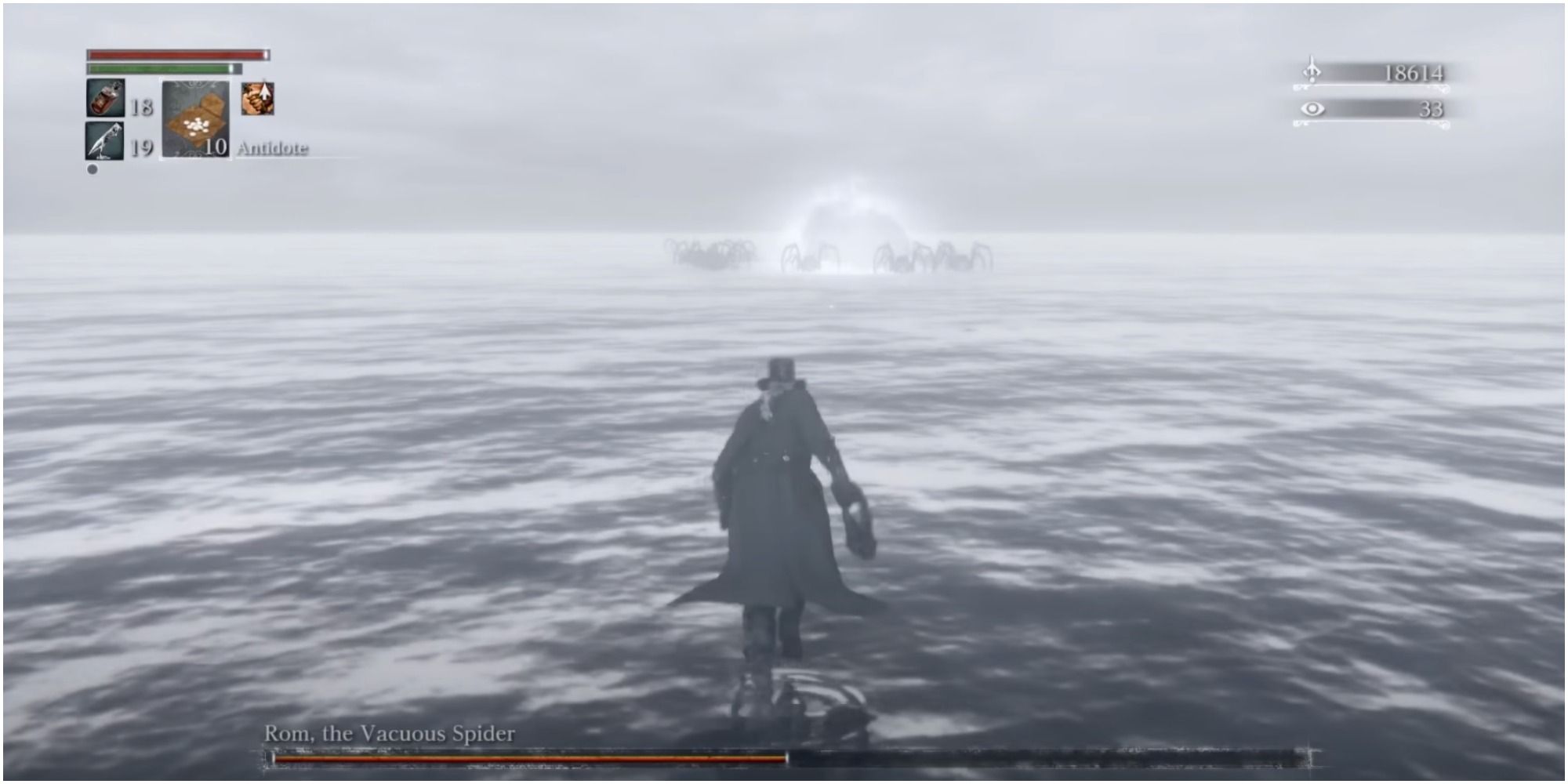 Bloodborne Vom The Racuous Spider boss arena