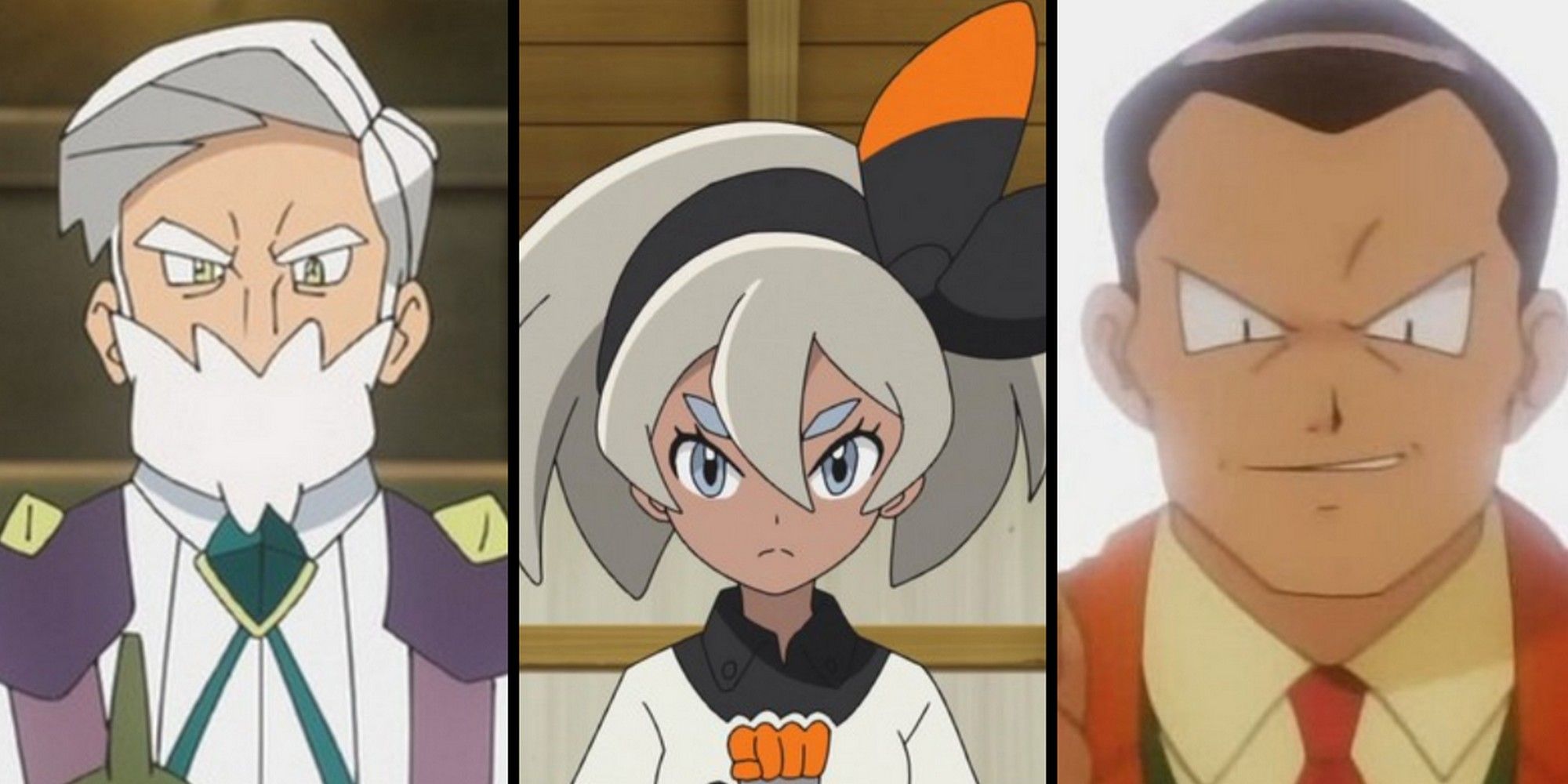 Drayden, Bea, Giovanni, gym leaders from Pokemon