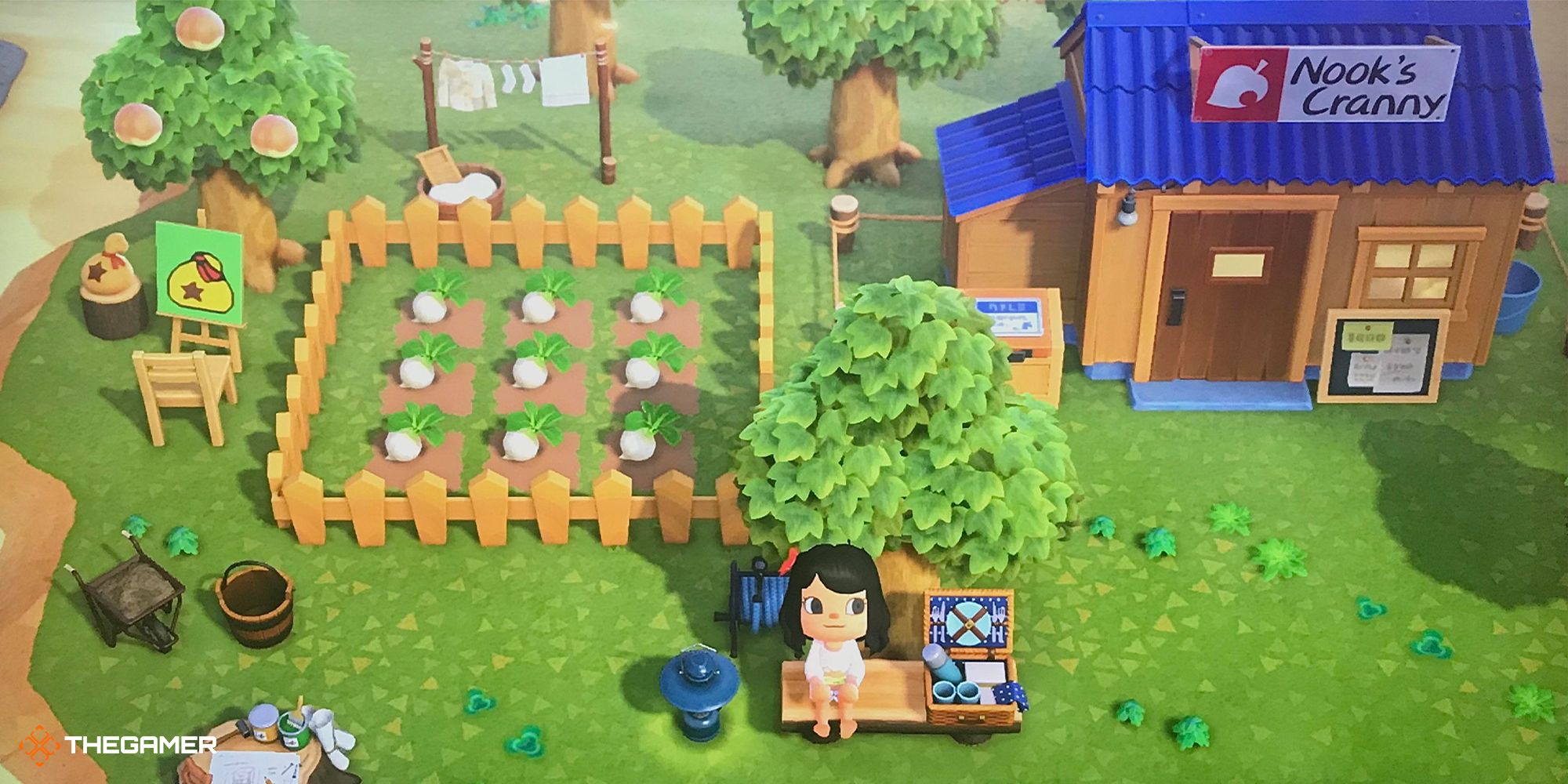 A fenced-off area of turnips near an island entrance near the Nook store in Animal Crossing: New Horizons.