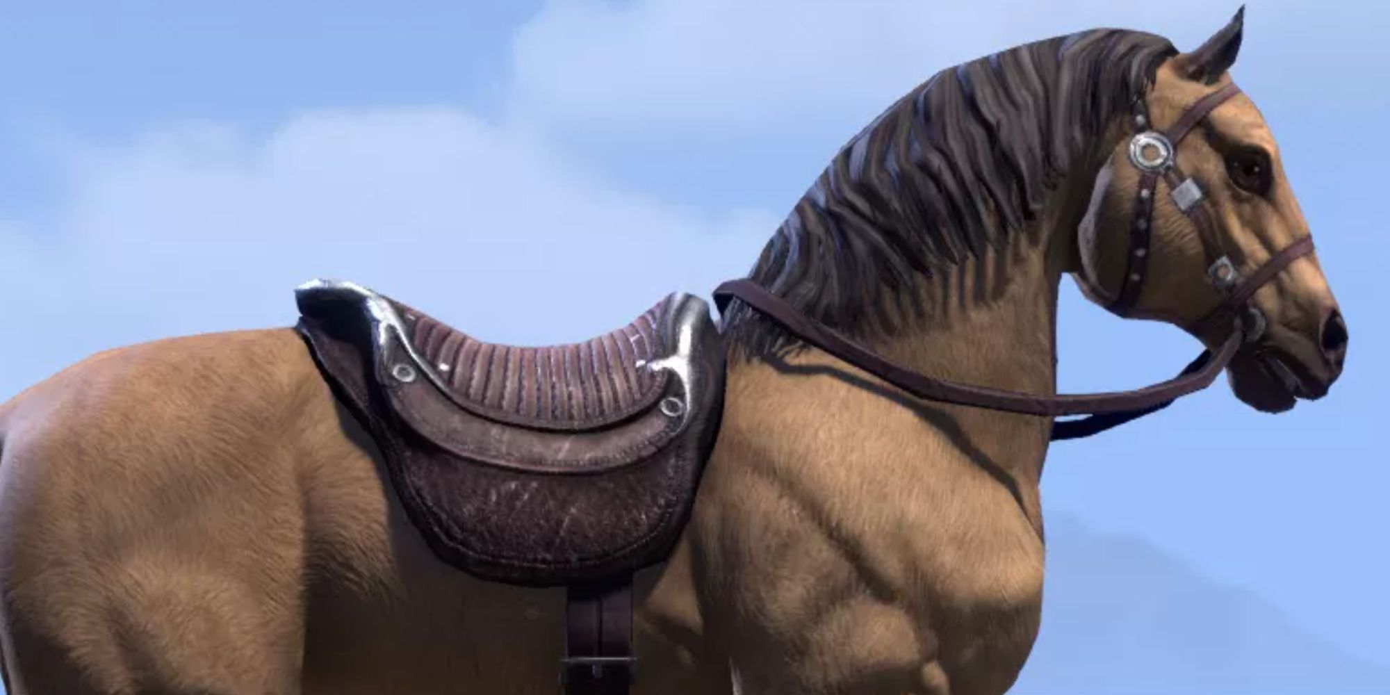 ESO Bay Dun Horse On The Beach