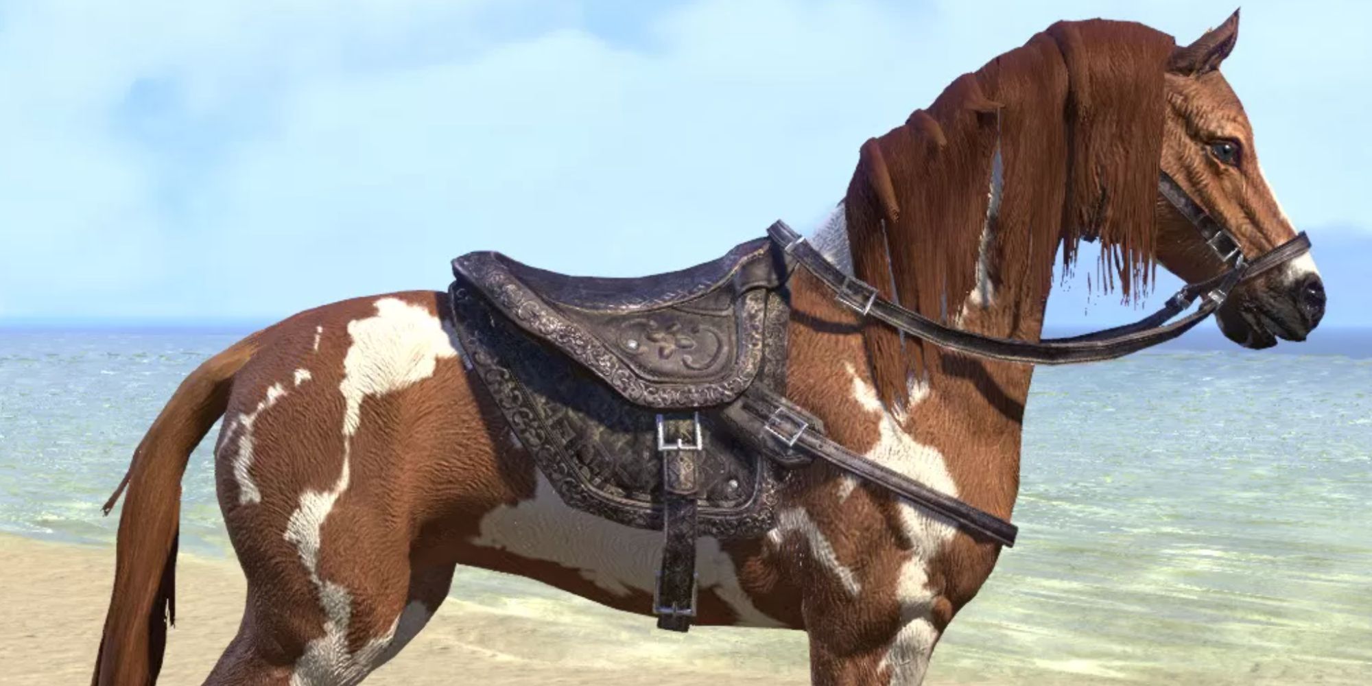 ESO Brown Paint Horse On The Beach