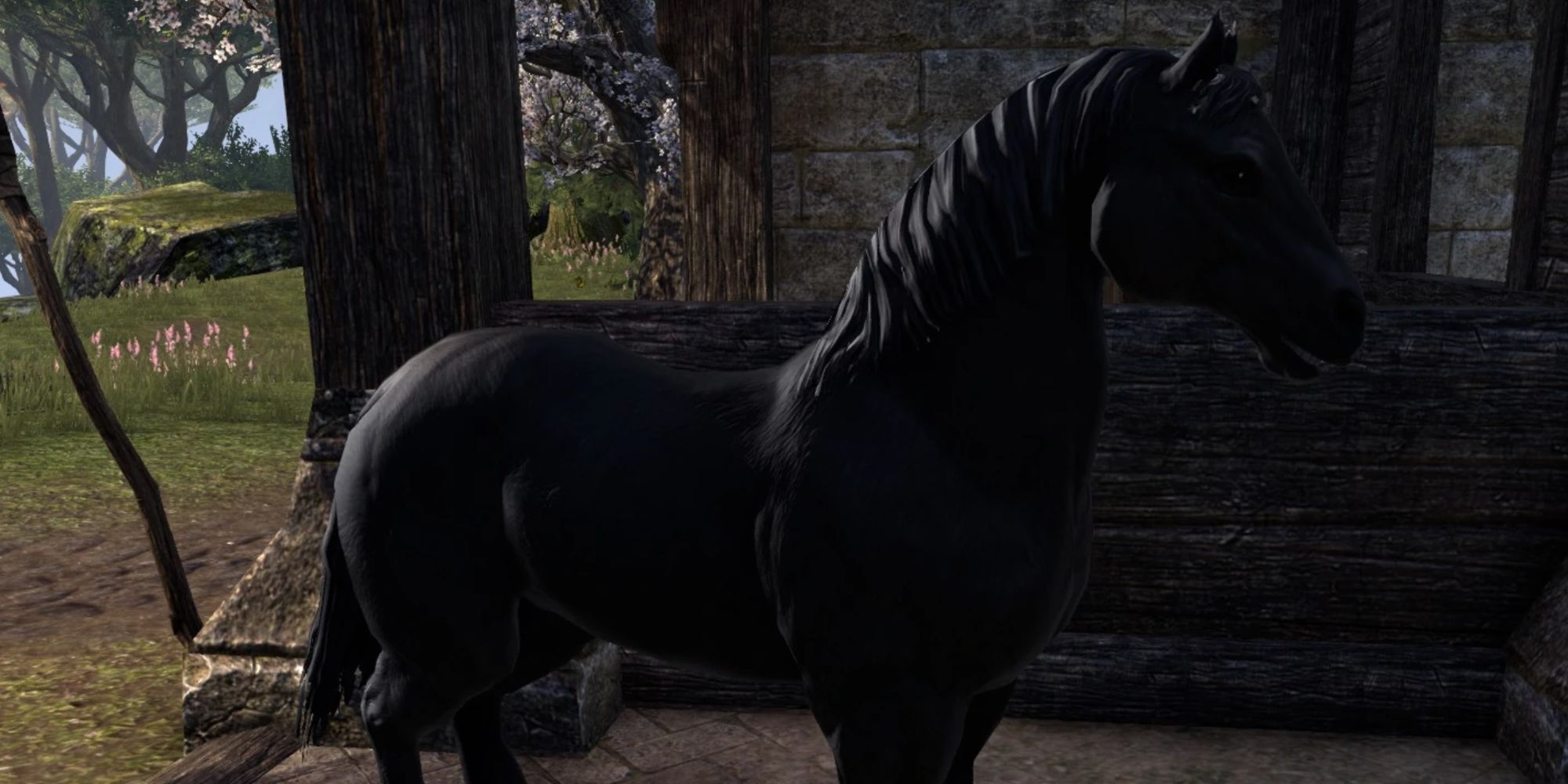 ESO Midnight Steed Inside A Stable