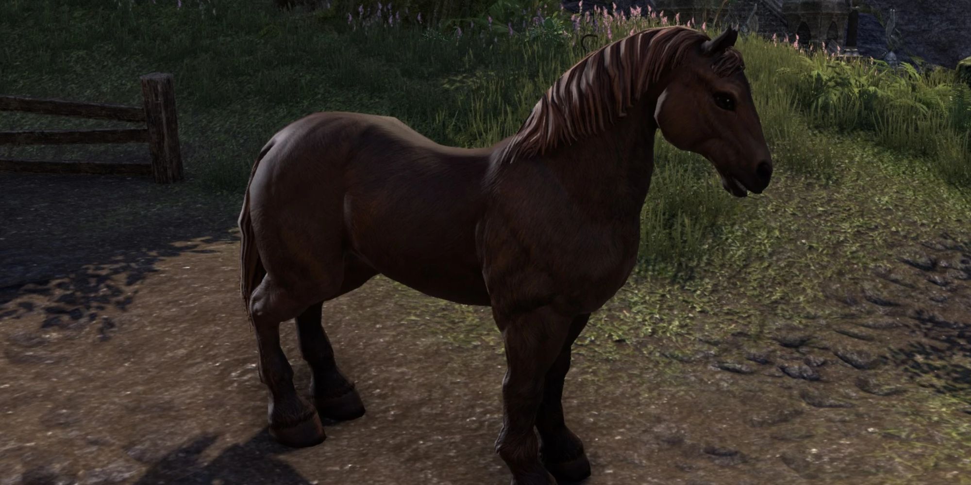 ESO Sorrel Horse Standing Around Outside