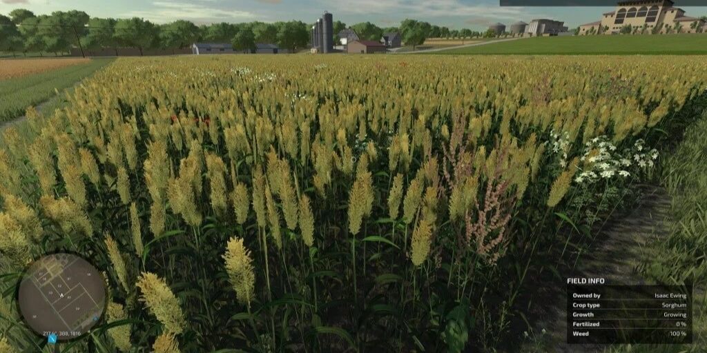 Farming Simulator 22 Sorghum