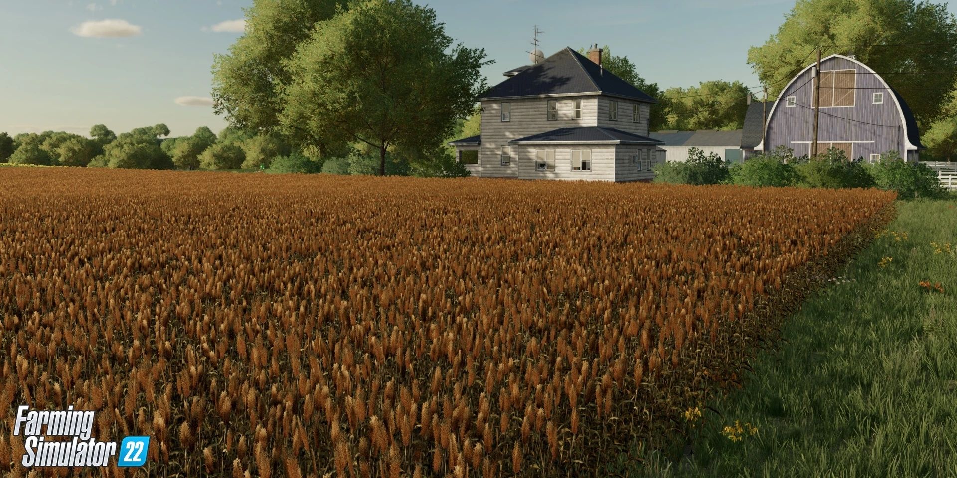Farming Simulator 22 Soybeans