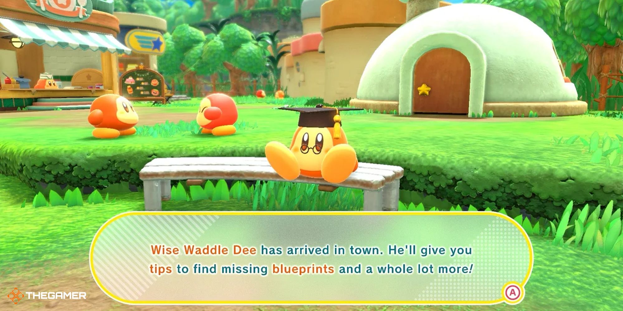 Kirby and the Forgotten Land - Wise Waddle Dee