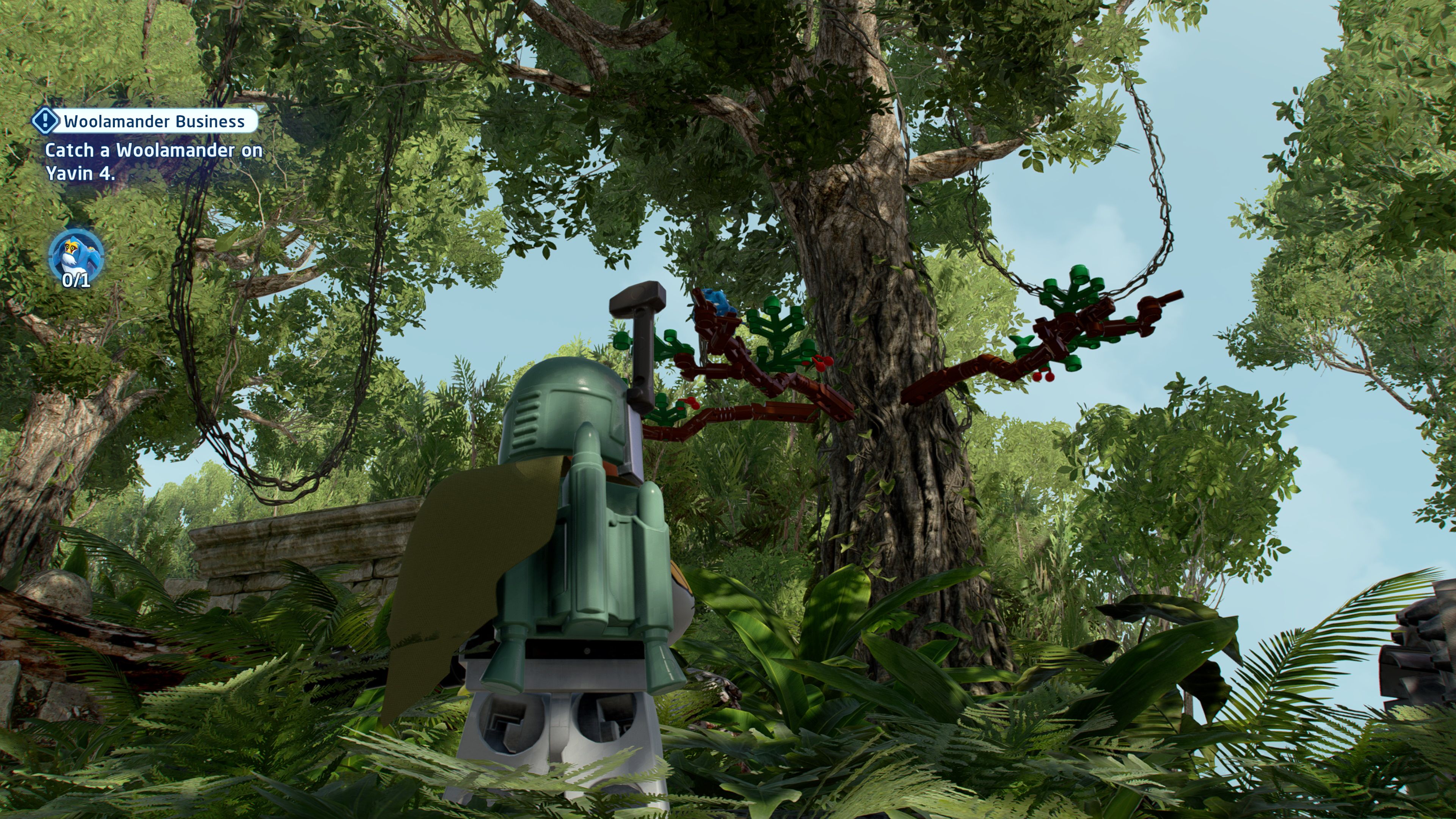 Shooting a woolamander in the tree