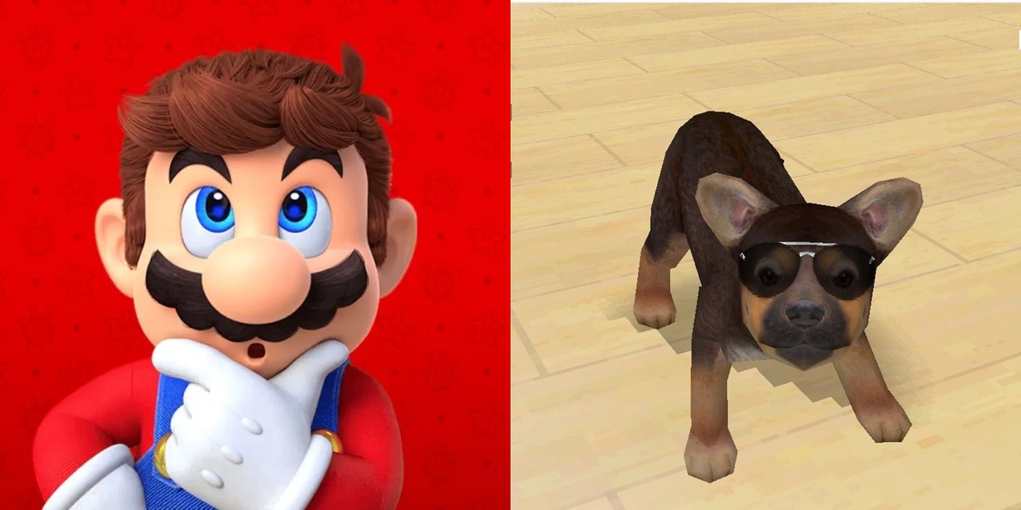 Mario thinking Nintendogs German Shephard with Aviator Sunglasses On Adorable