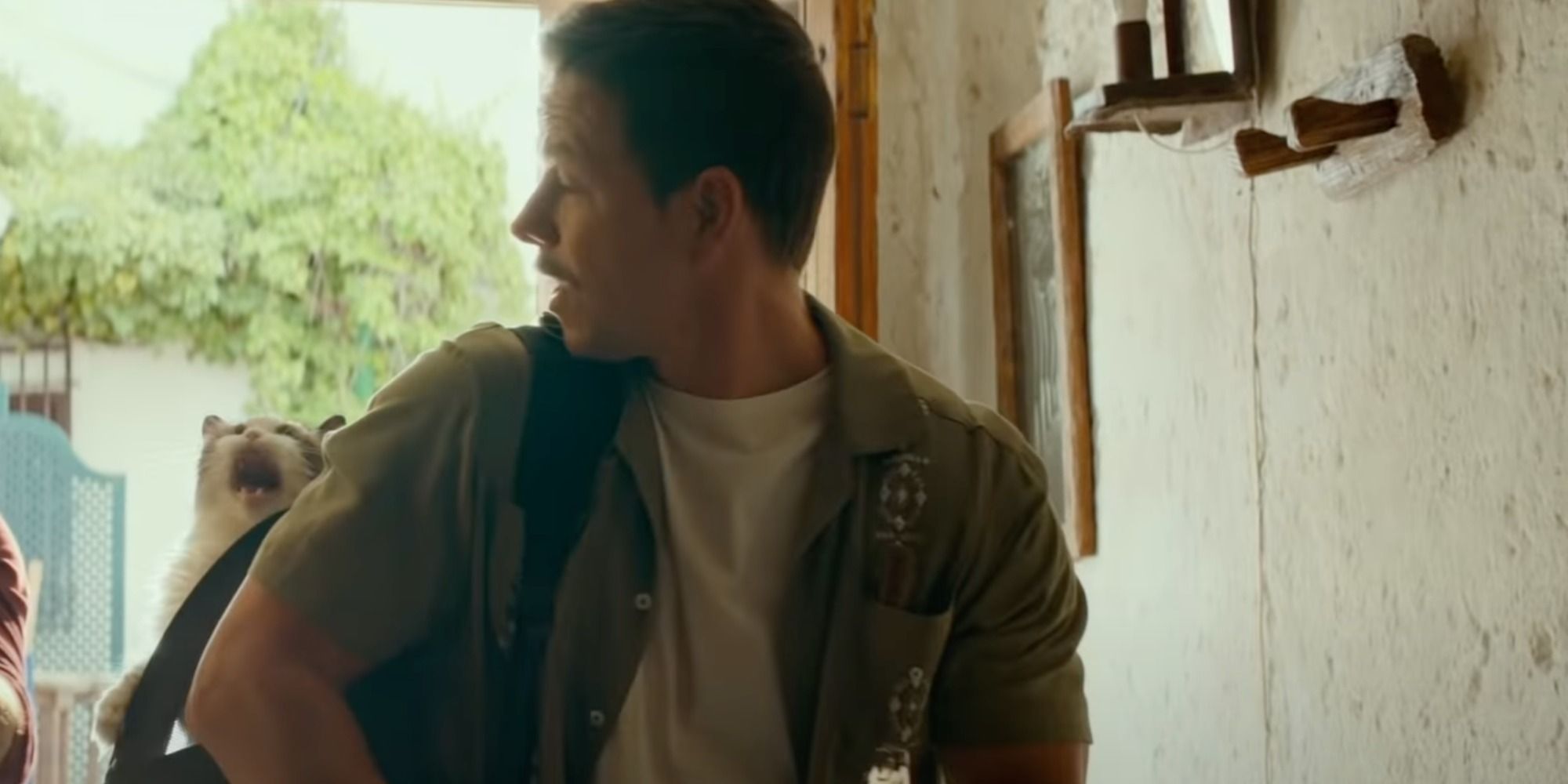 Sully with a cat in his backpack in Uncharted 2022