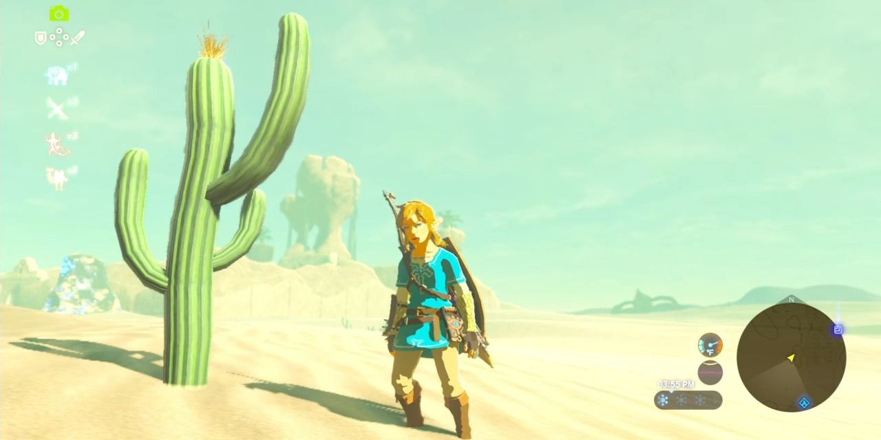 A screenshot showing Link standing in the desert in The Legend of Zelda: Breath of the Wild