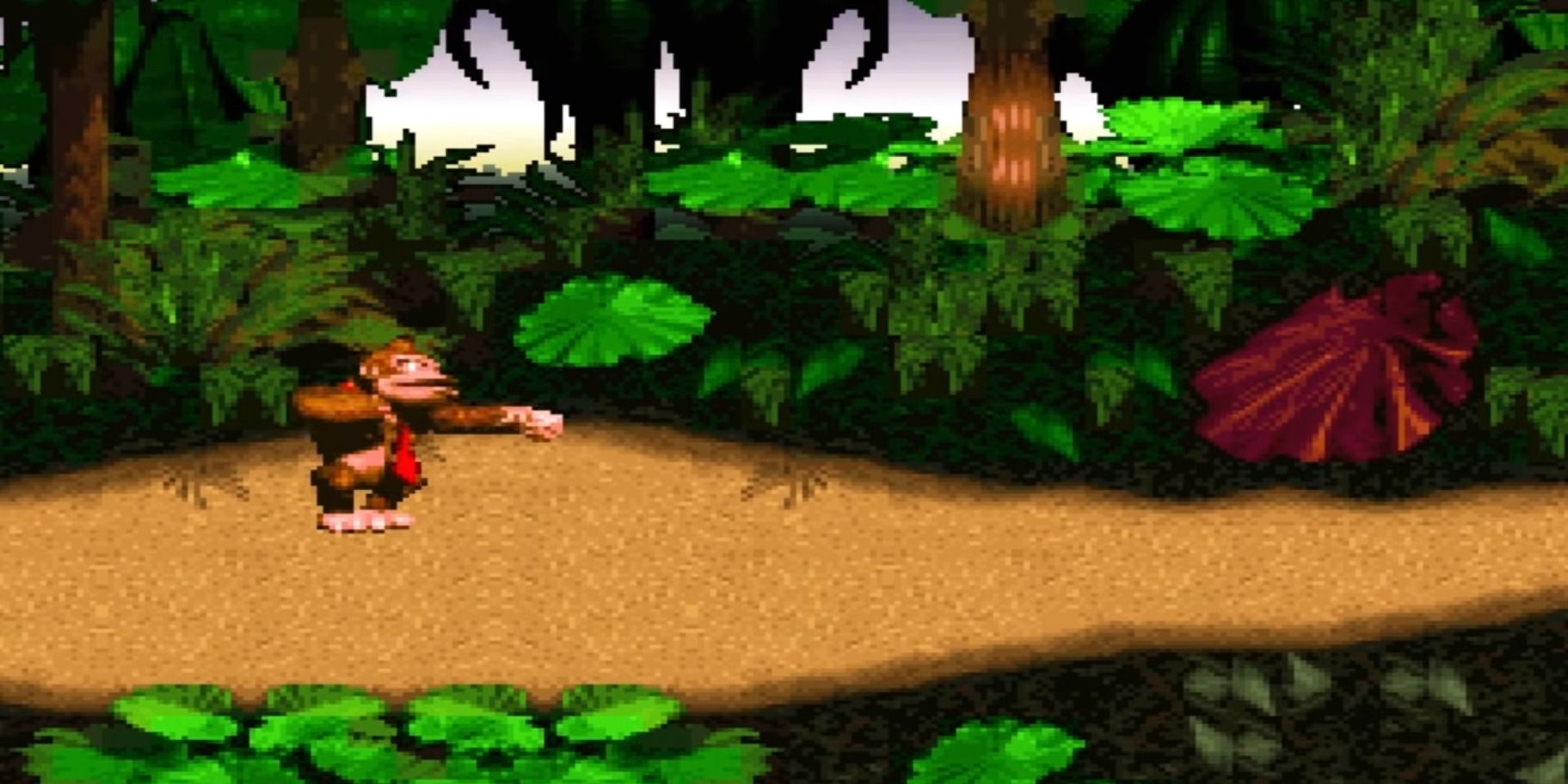 A screenshot showing Donkey Kong beating his chest in Donkey Kong Country