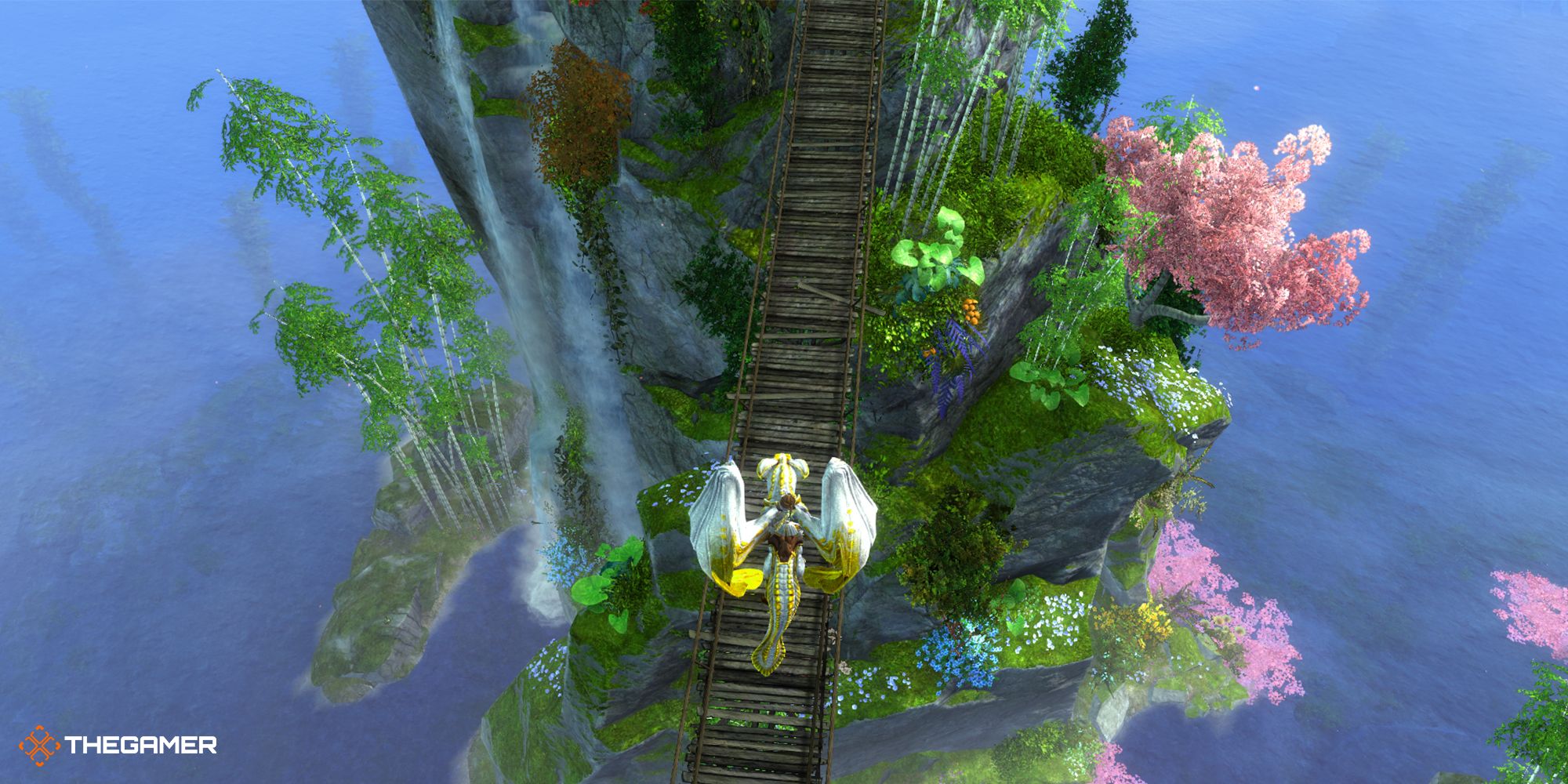 guild wars 2 - cat island 2