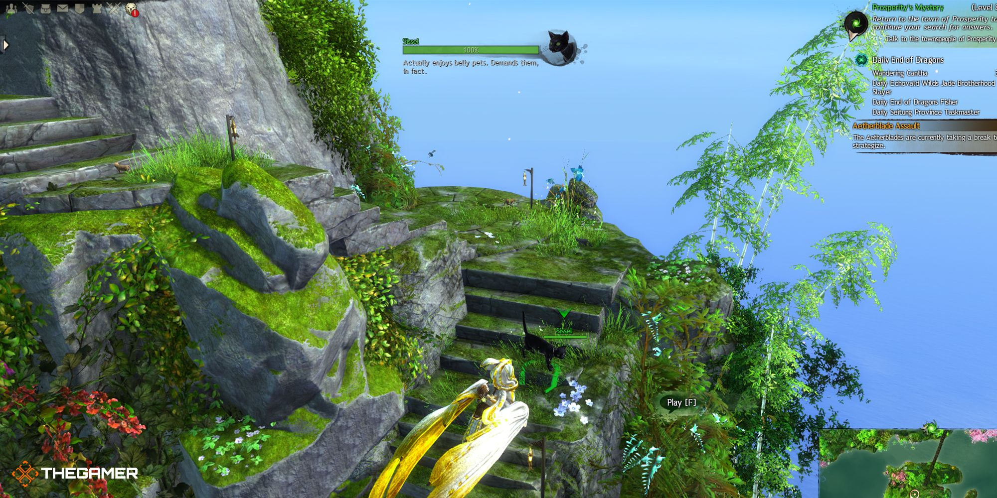 guild wars 2 - cat island 3