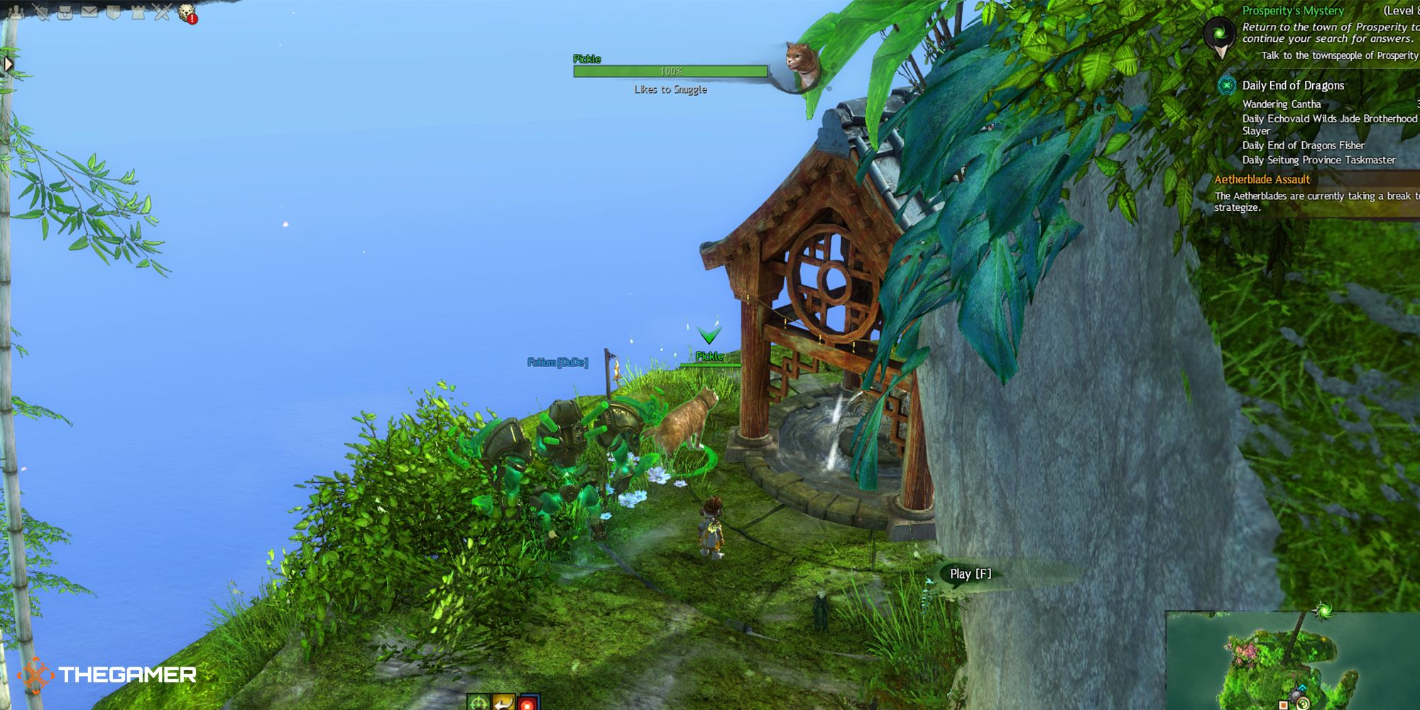 guild wars 2 - cat island 4