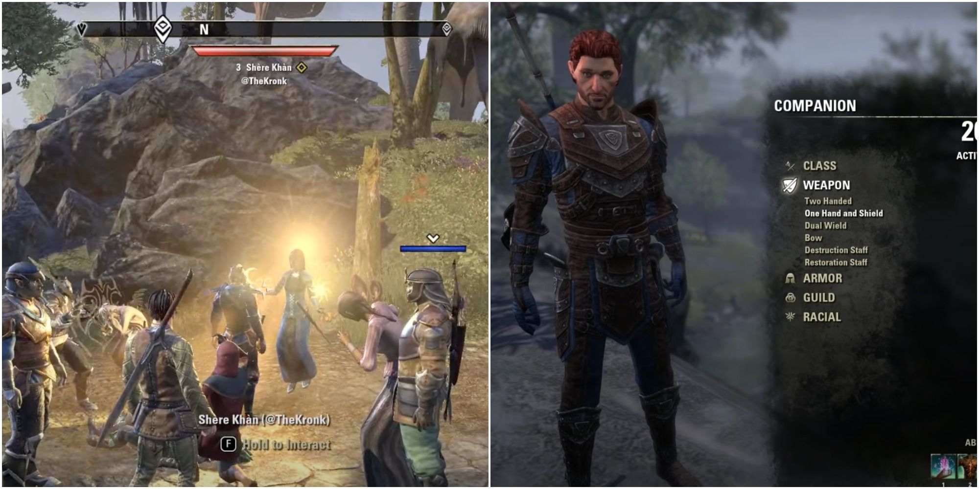 Elder Scrolls Online Travelling with companions and in co-op