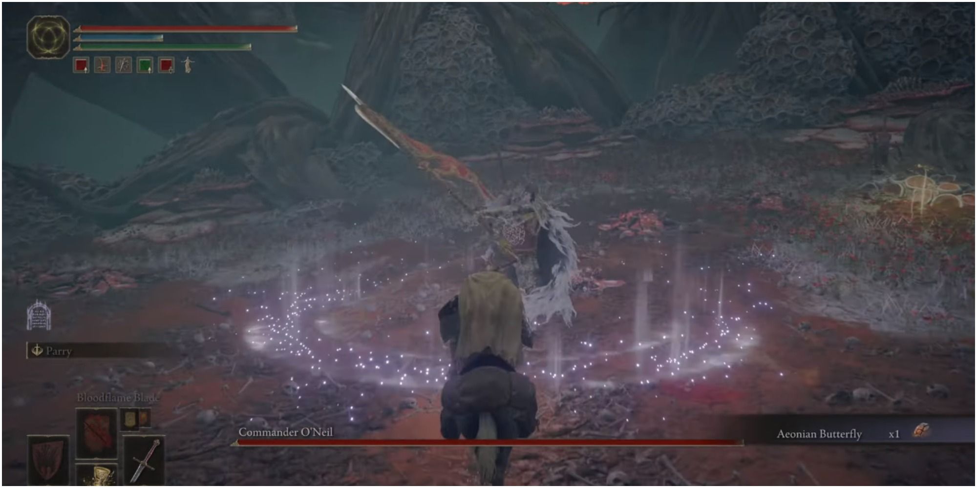The player approaching the boss in Swamps of Aeonia.