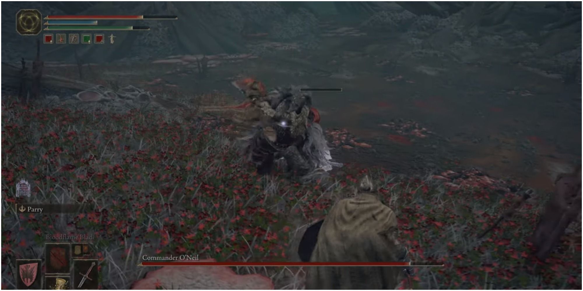 The boss sweeping his Halberd. 