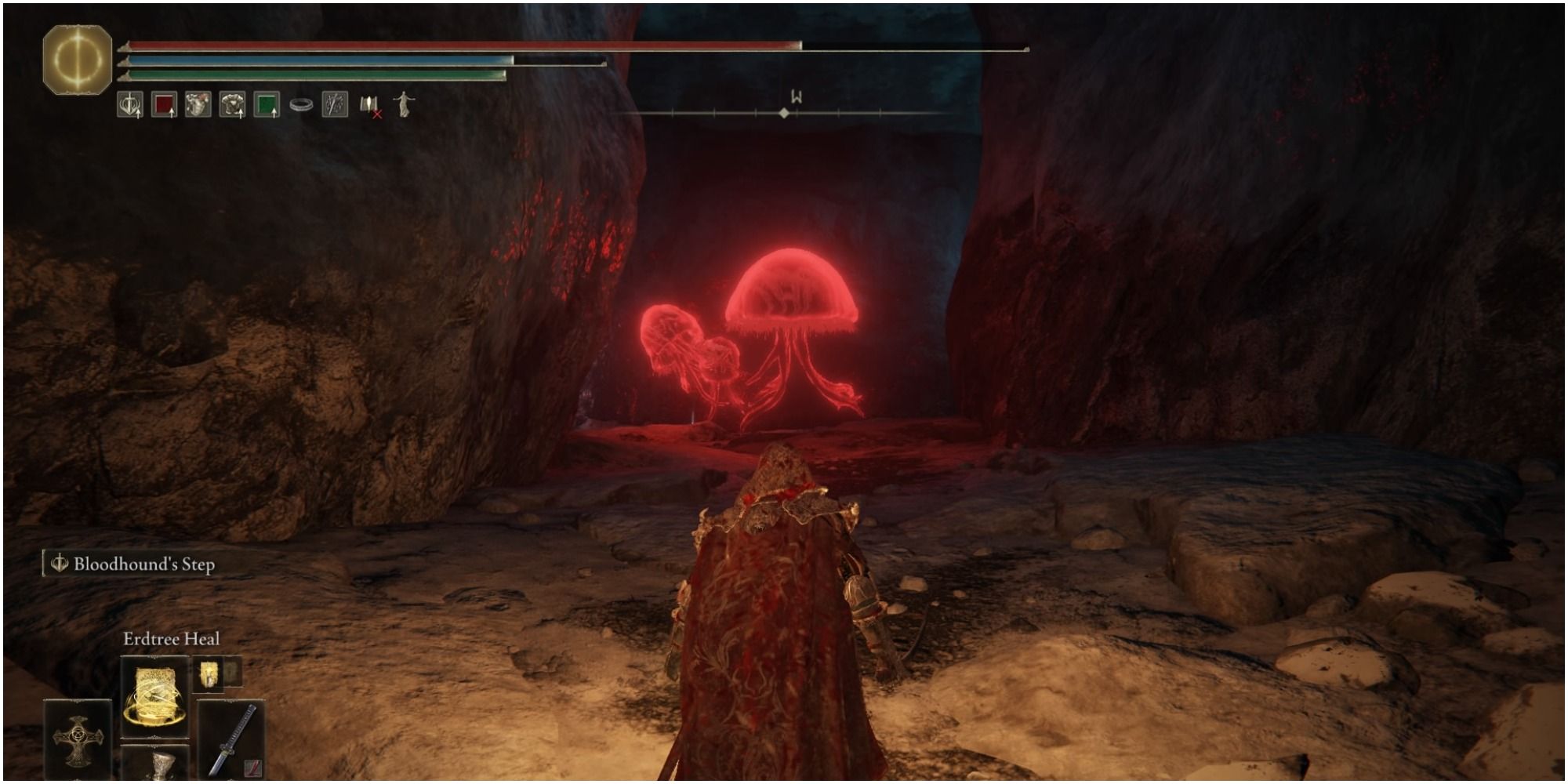 Reaching the jellyfish. 