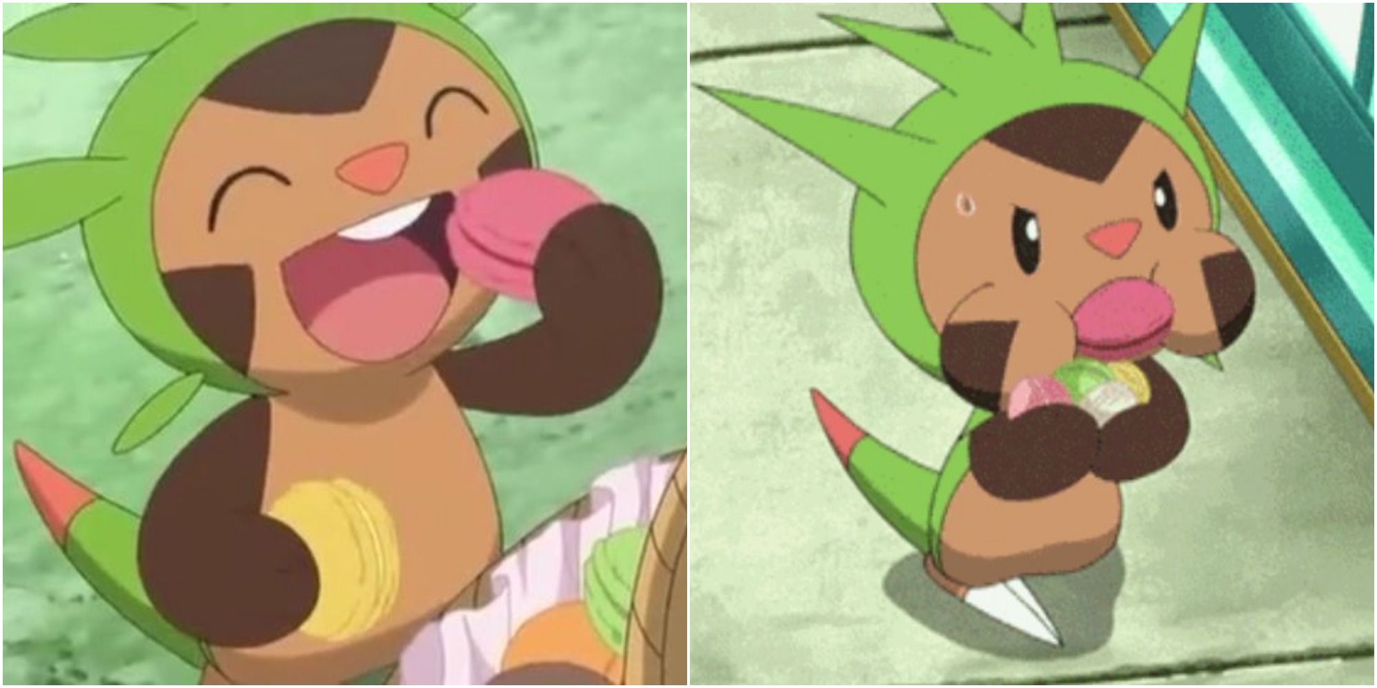 Split image screenshots of Chespin eating Macarons.