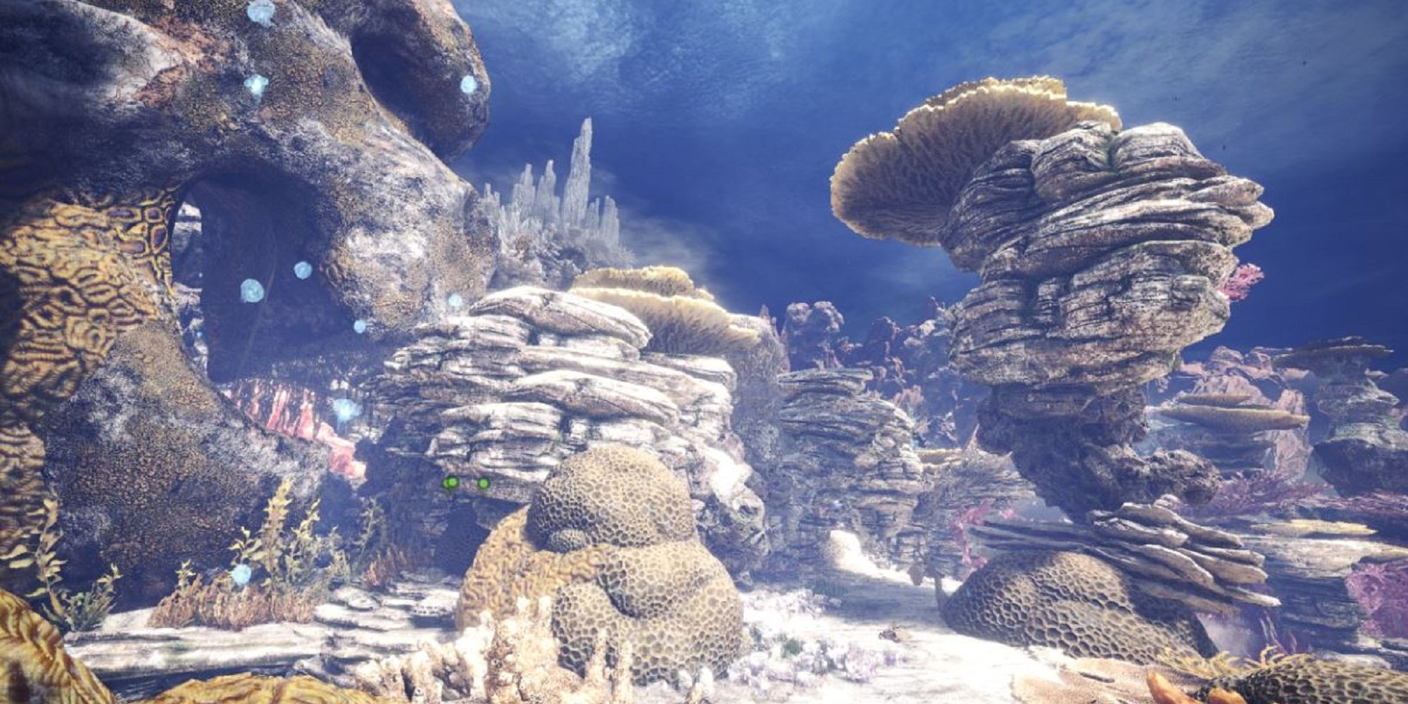 Coral Highlands Growths 