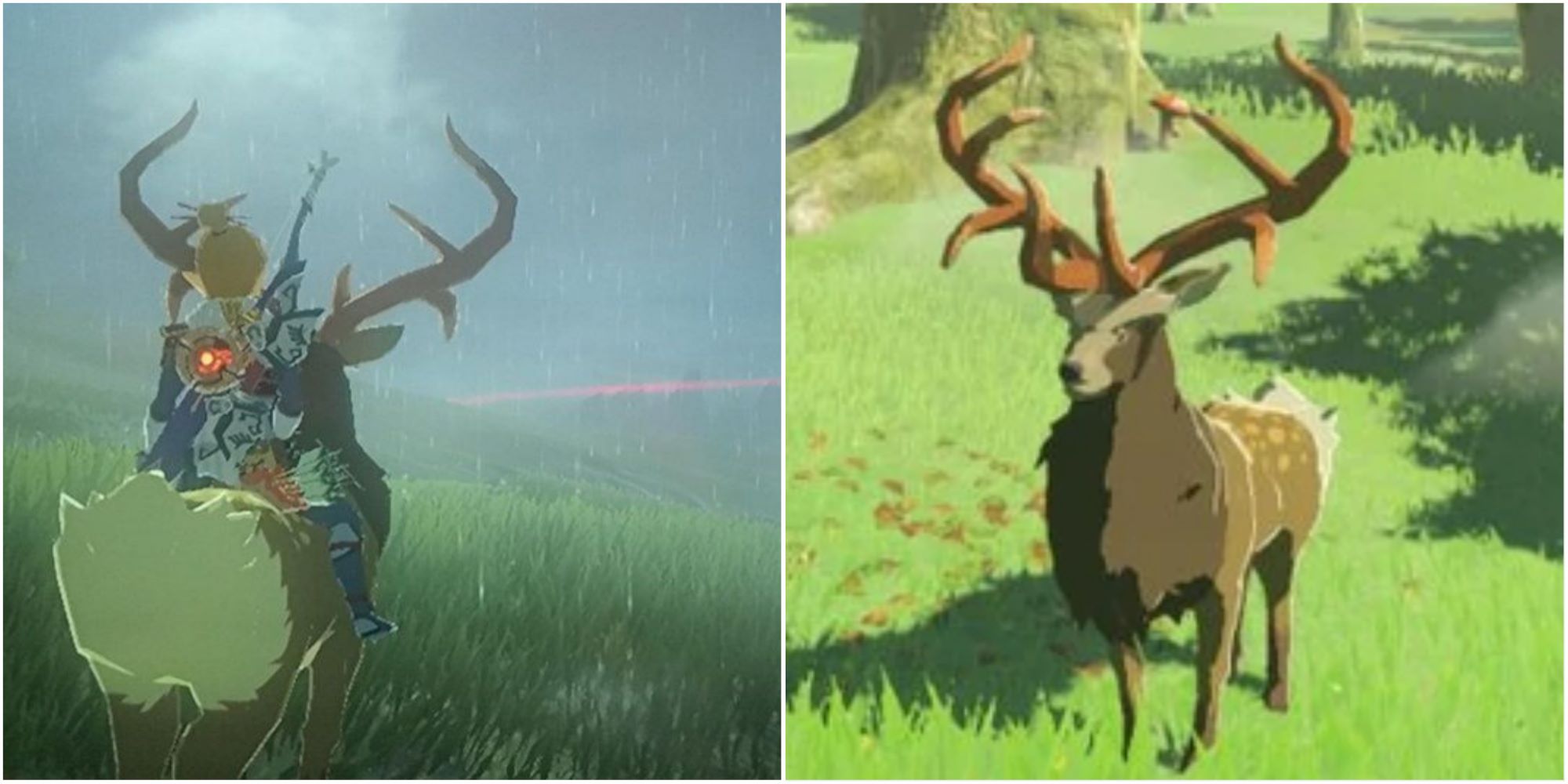 Split image screenshots of Link riding a stag and a close up of a stag in Breath of the Wild.