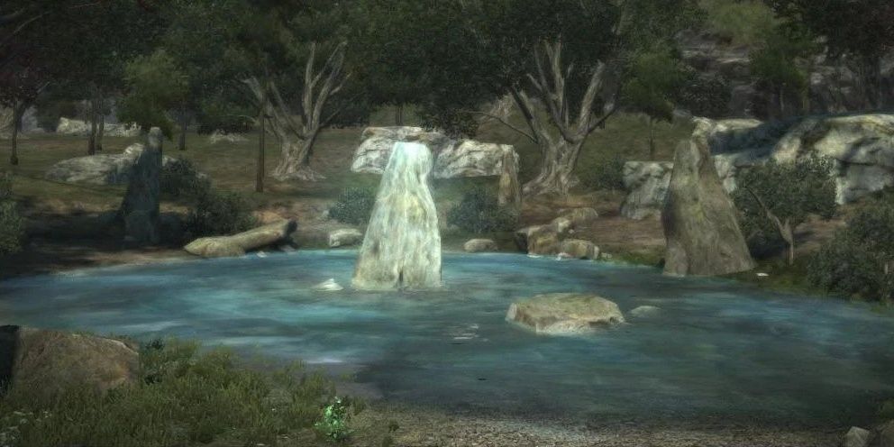 Healing Springs in the middle of a forest