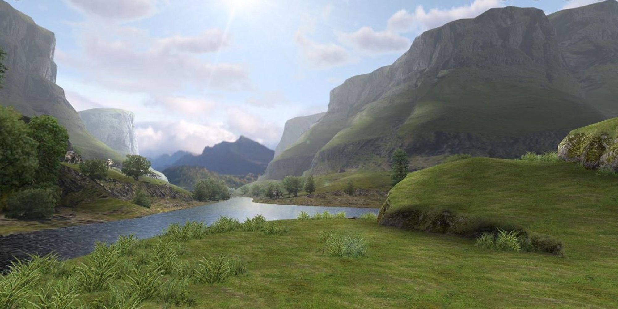 Forest And Hills Landscape